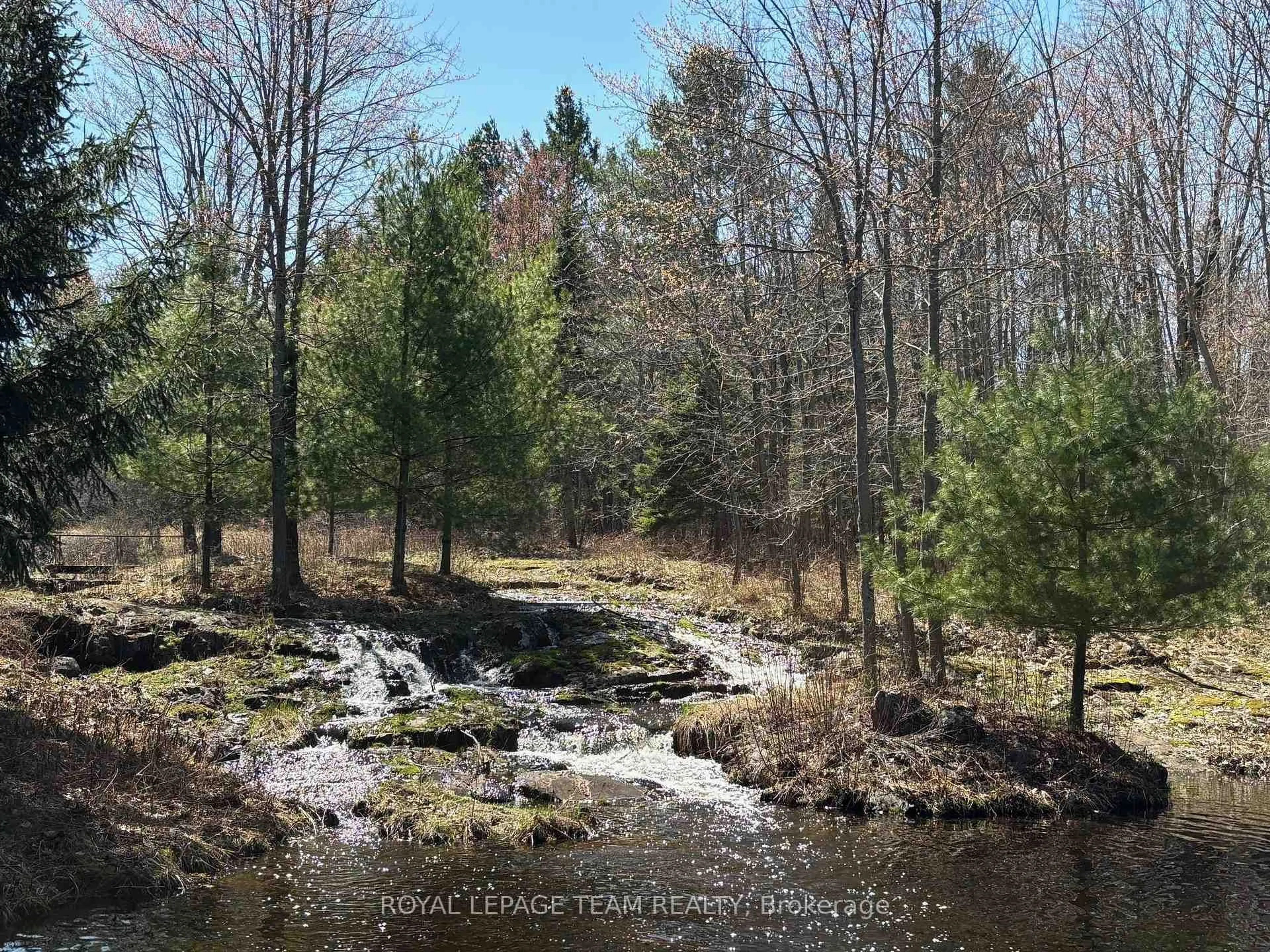 A pic from outside/outdoor area/front of a property/back of a property/a pic from drone, forest/trees view for 297 John Aselford Driveway Dr, Ottawa Ontario K2W 1A8