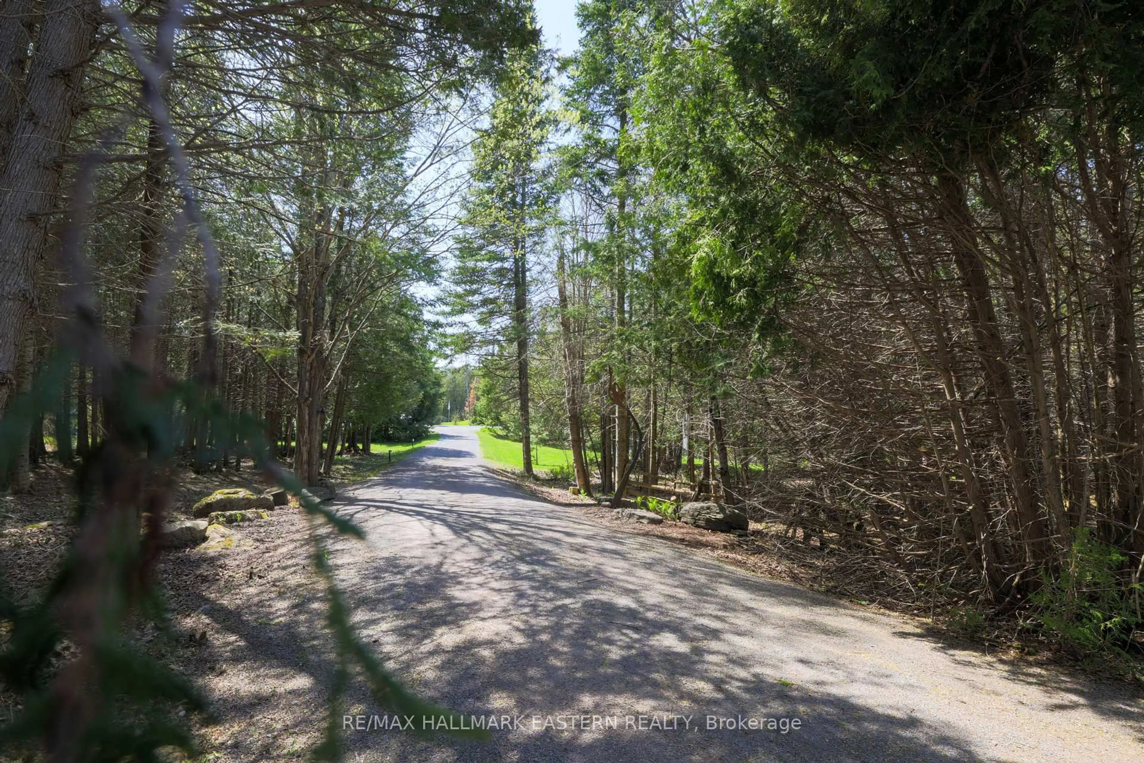 A pic from outside/outdoor area/front of a property/back of a property/a pic from drone, forest/trees view for 1611 COUNTY ROAD 4 N/A, Douro-Dummer Ontario K0L 2H0