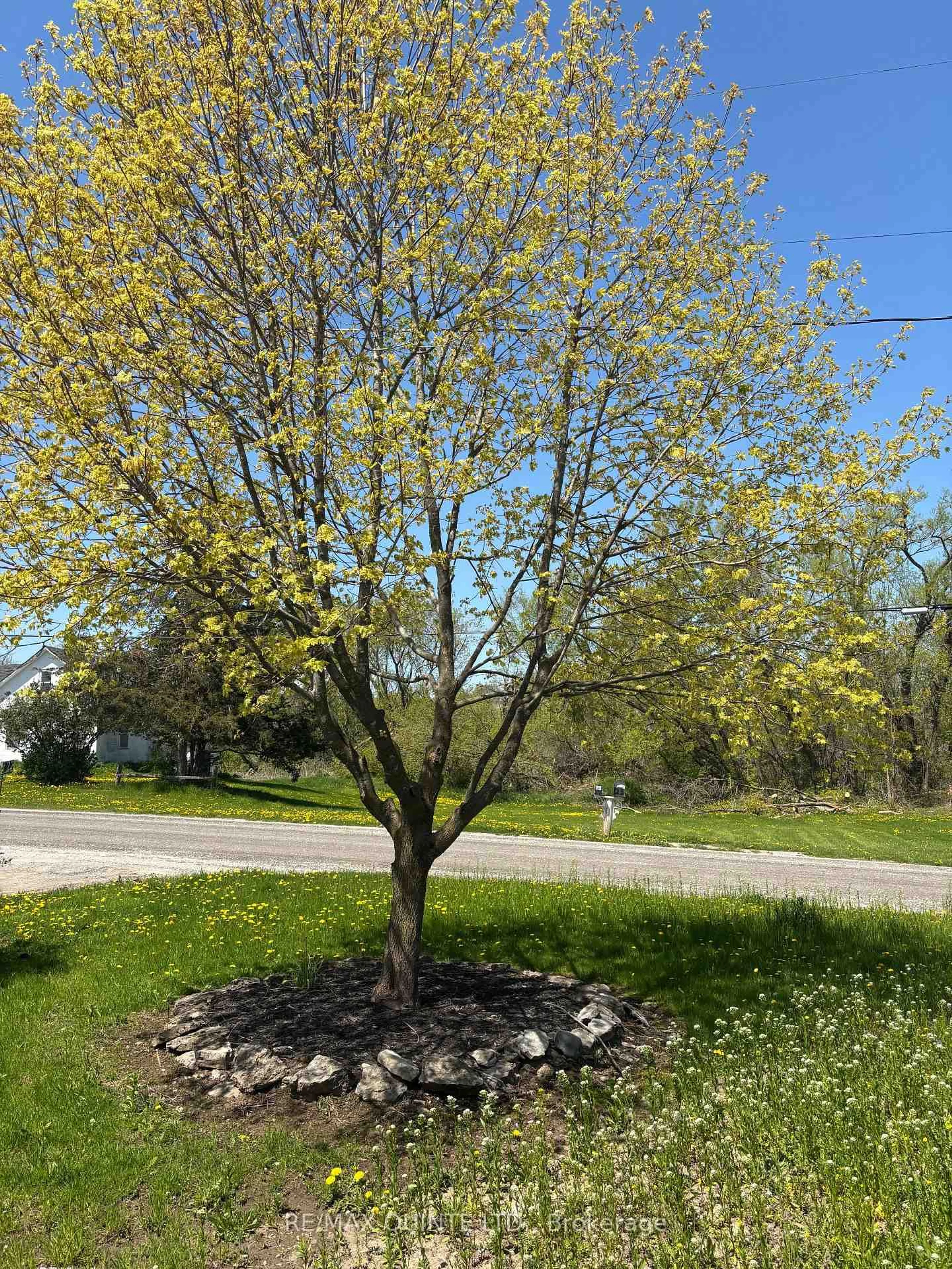 A pic from outside/outdoor area/front of a property/back of a property/a pic from drone, street for 22 Pauley Rd, Stirling Ontario K0K 3E0