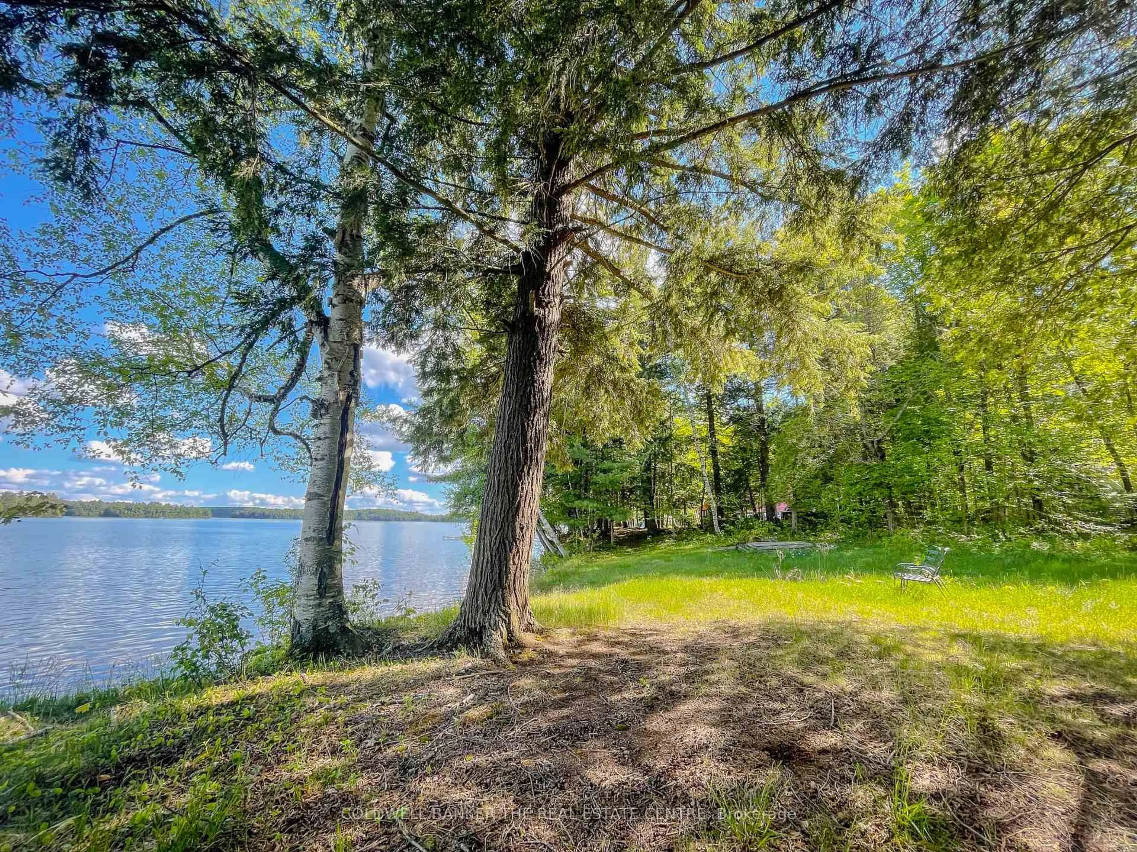 Patio, water/lake/river/ocean view for 127 Blind Line, Armour Ontario P0A 1C0