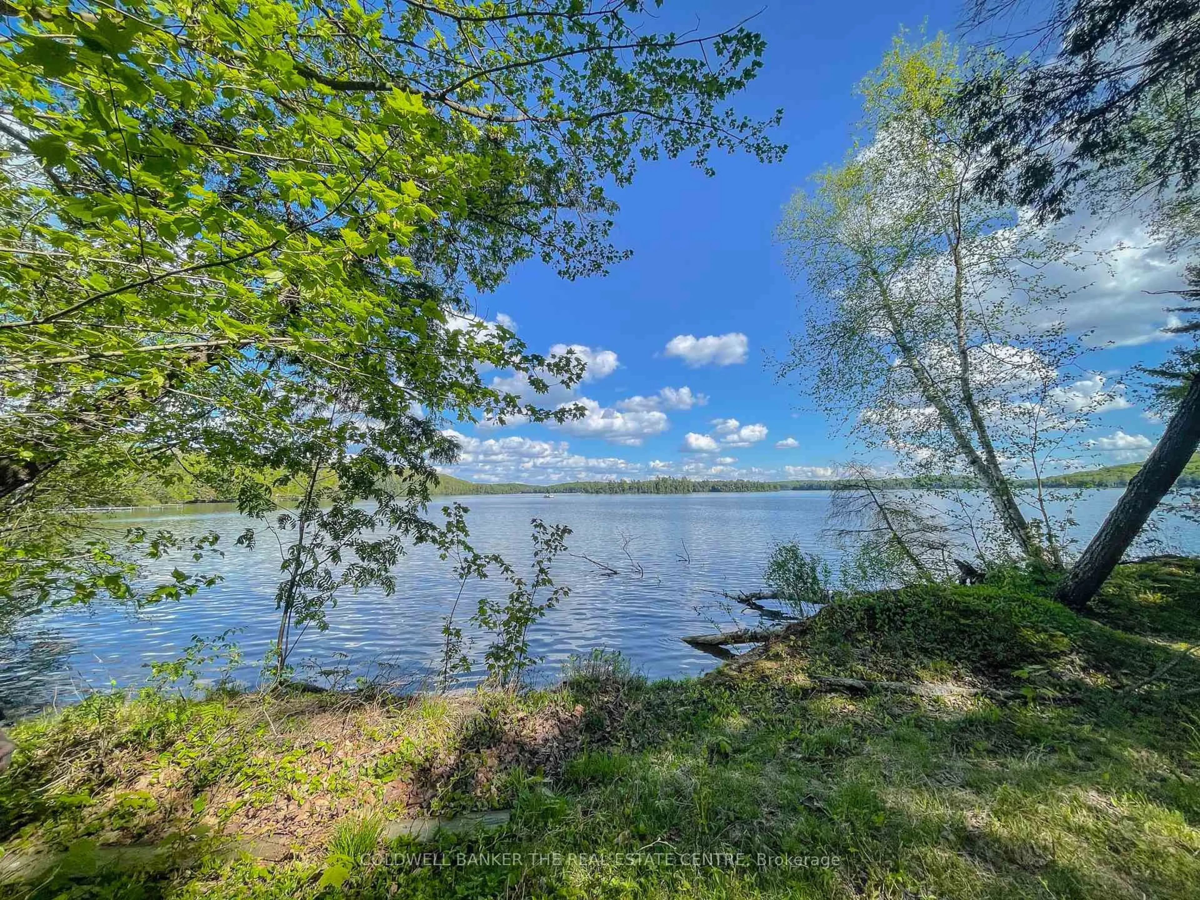Unknown for 127 Blind Line, Armour Ontario P0A 1C0
