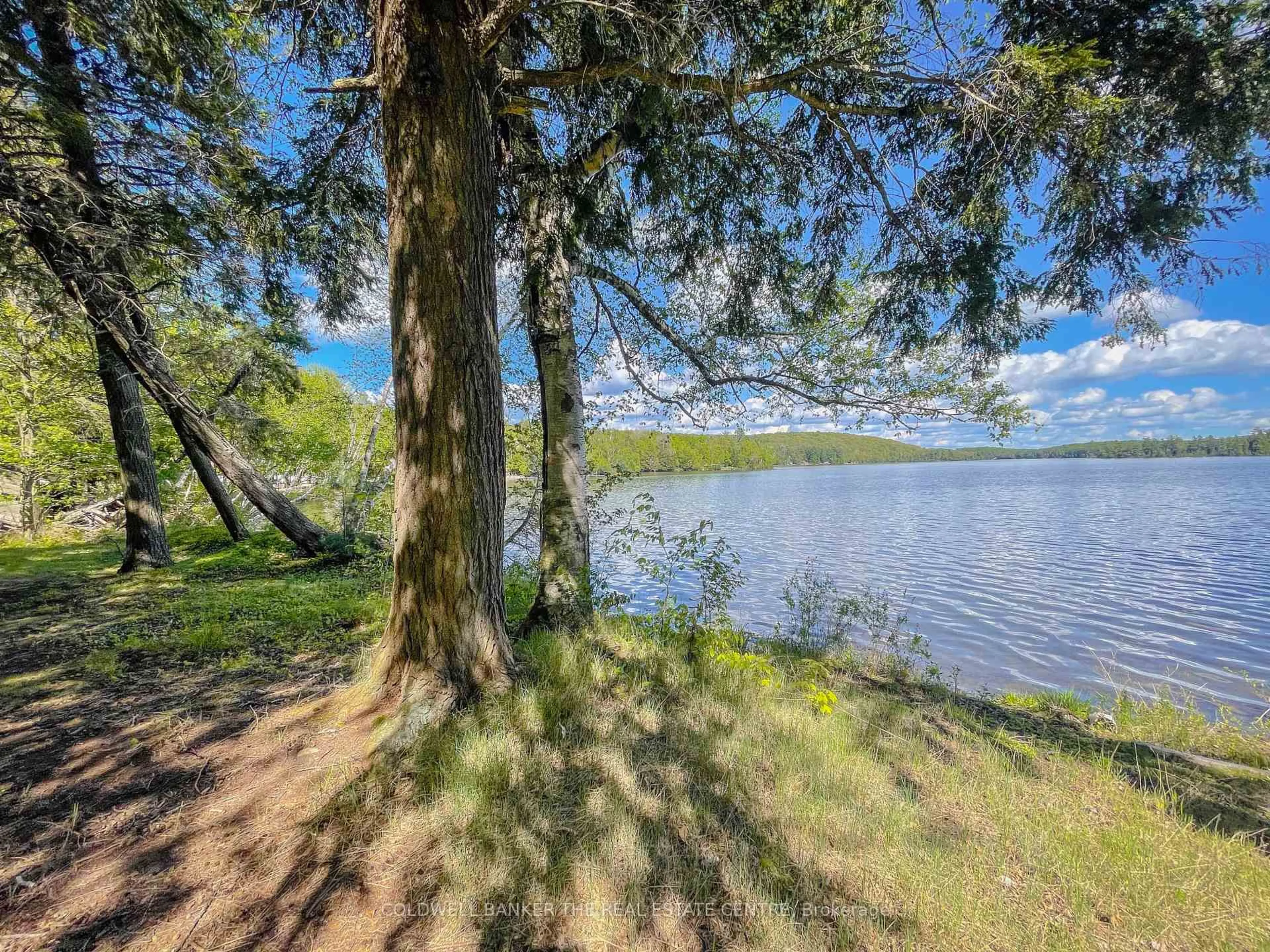 A pic from outside/outdoor area/front of a property/back of a property/a pic from drone, water/lake/river/ocean view for 127 Blind Line, Armour Ontario P0A 1C0