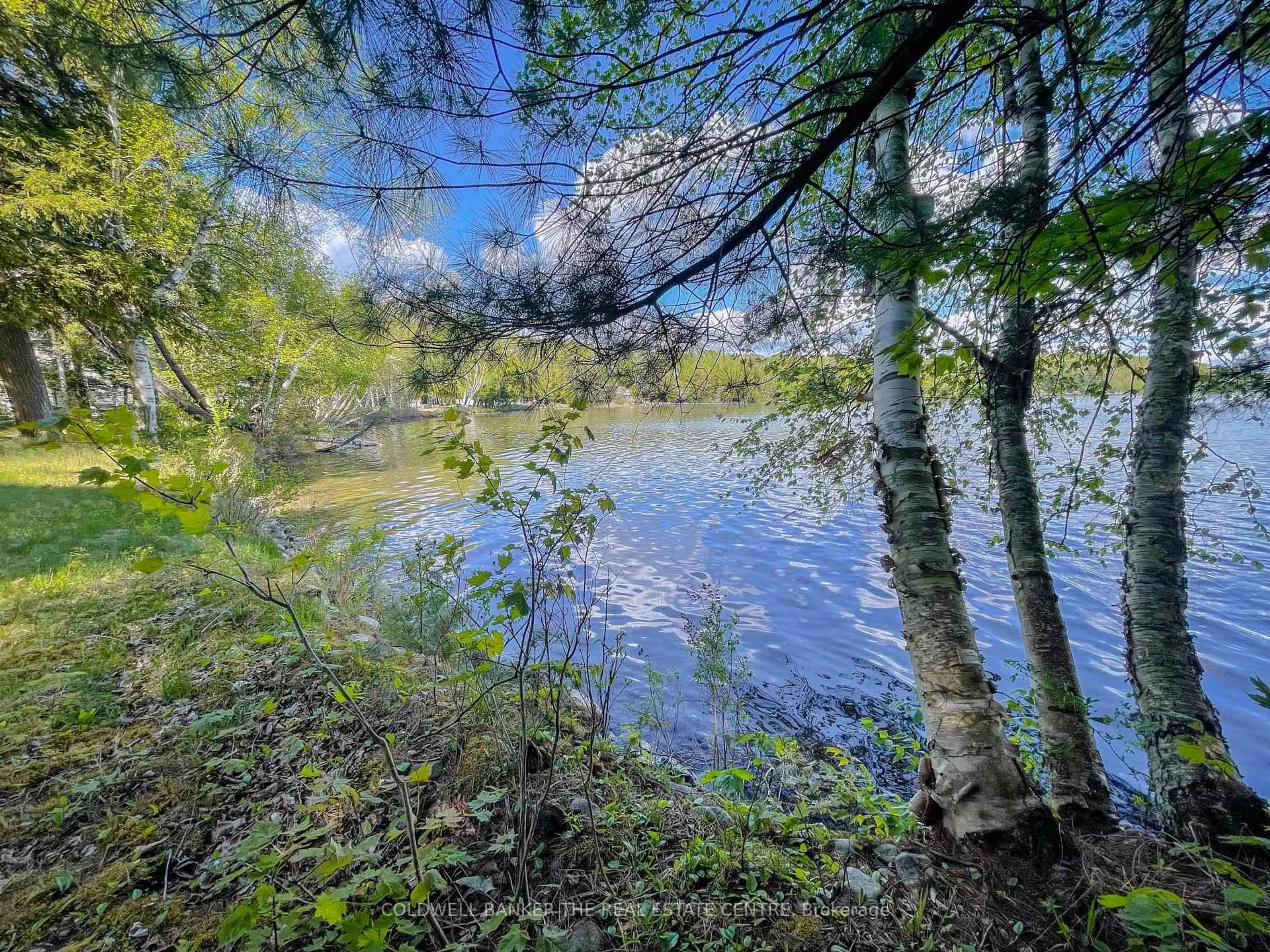 Blurry image for 127 Blind Line, Armour Ontario P0A 1C0