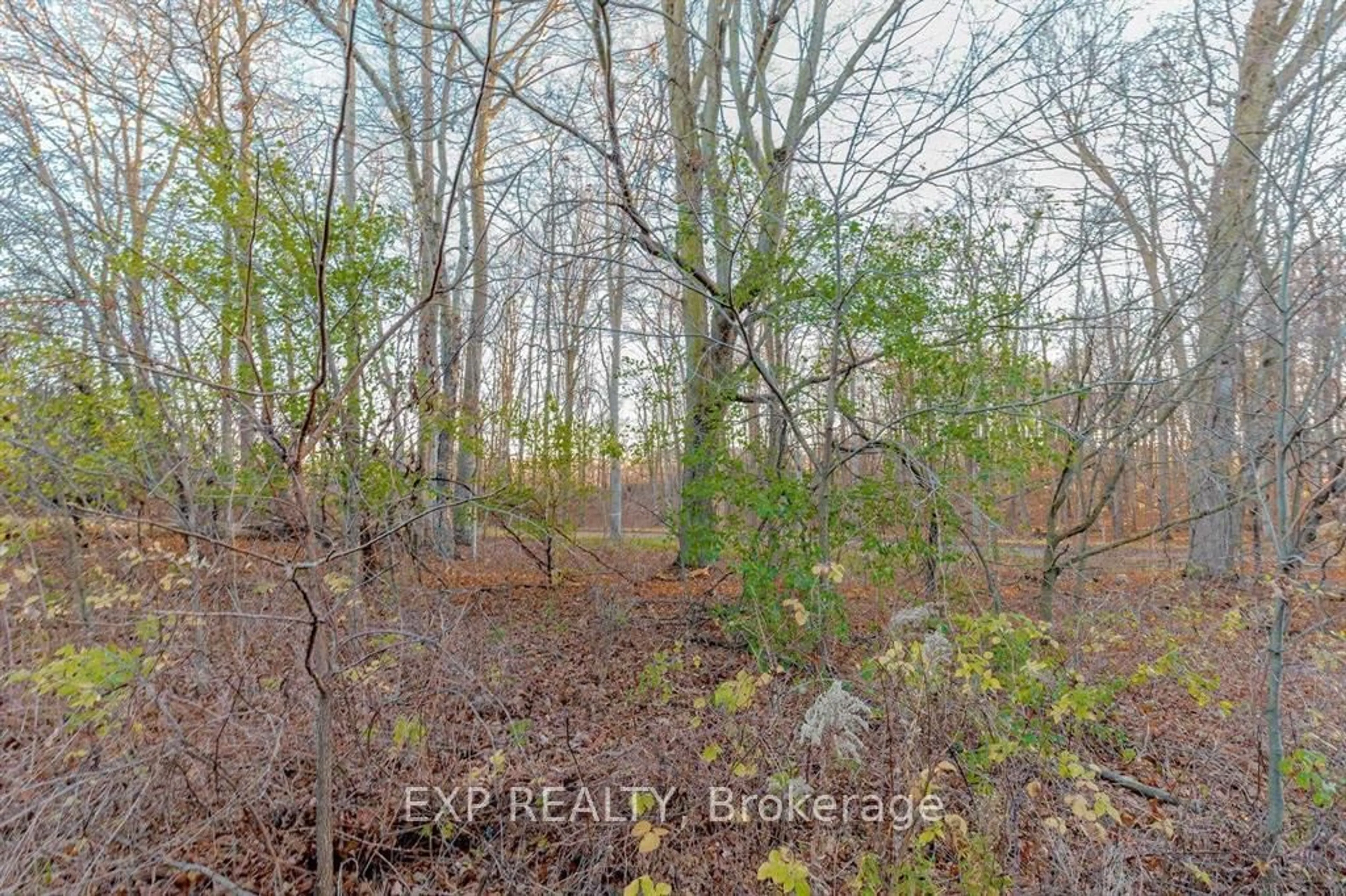 A pic from outside/outdoor area/front of a property/back of a property/a pic from drone, forest/trees view for 77 Woodedge Circ, Kitchener Ontario N2R 1R7