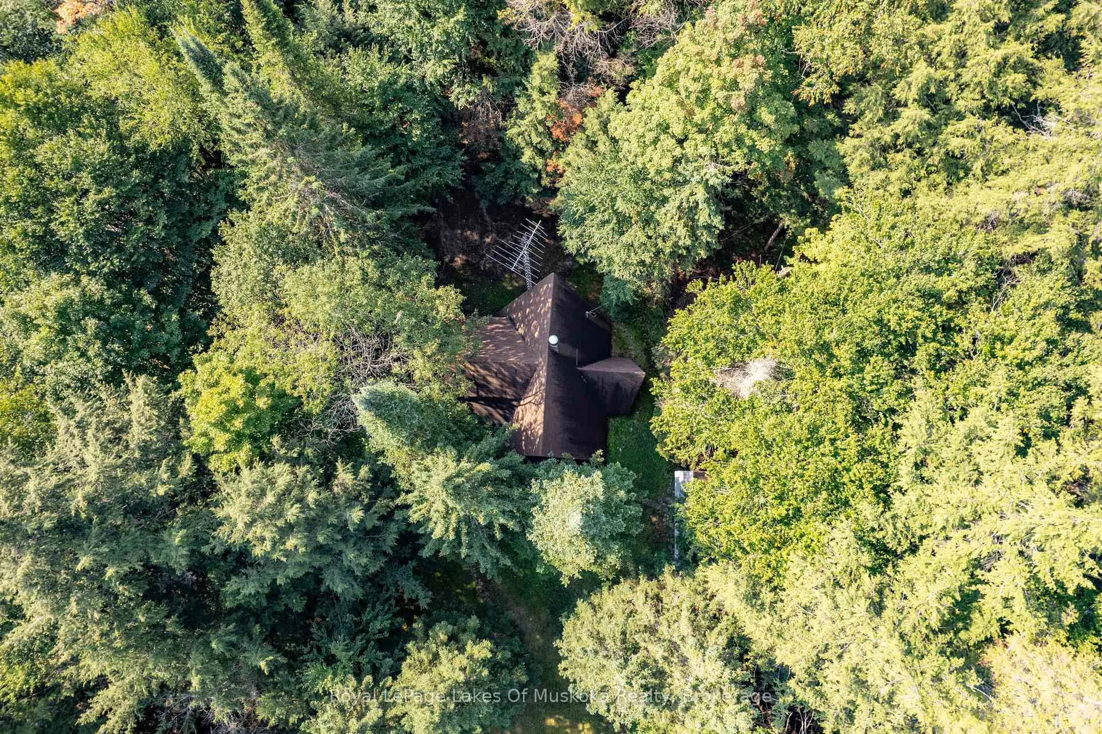A pic from outside/outdoor area/front of a property/back of a property/a pic from drone, forest/trees view for 1363 WEST OXBOW LAKE Rd, Lake of Bays Ontario P1H 2J6