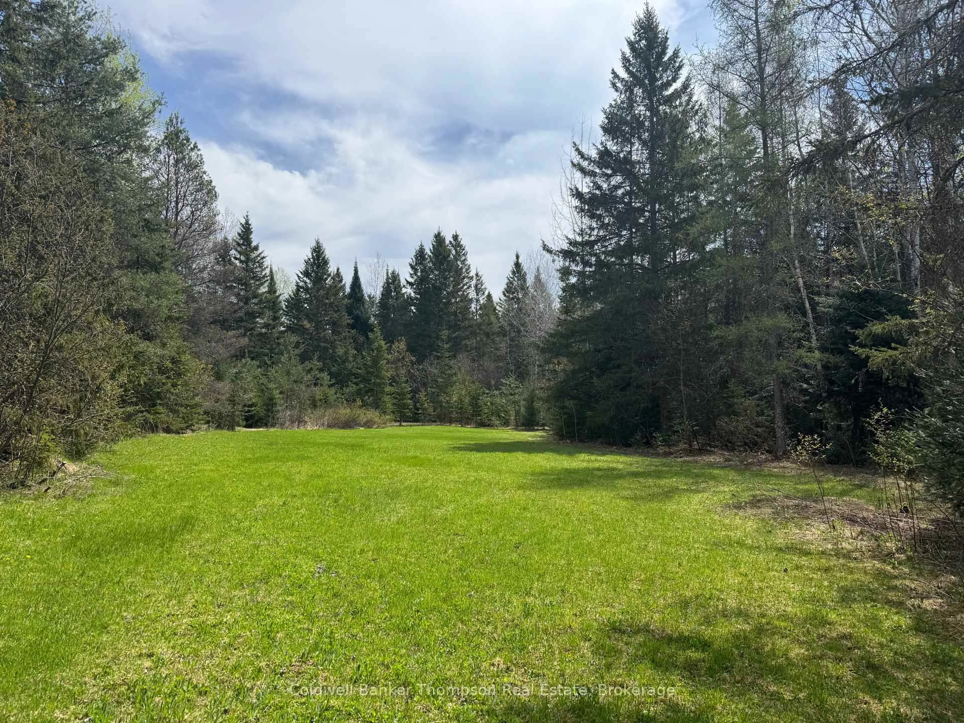 A pic from outside/outdoor area/front of a property/back of a property/a pic from drone, forest/trees view for 0 520 Highway Highway, Ryerson Ontario P0A 1C0