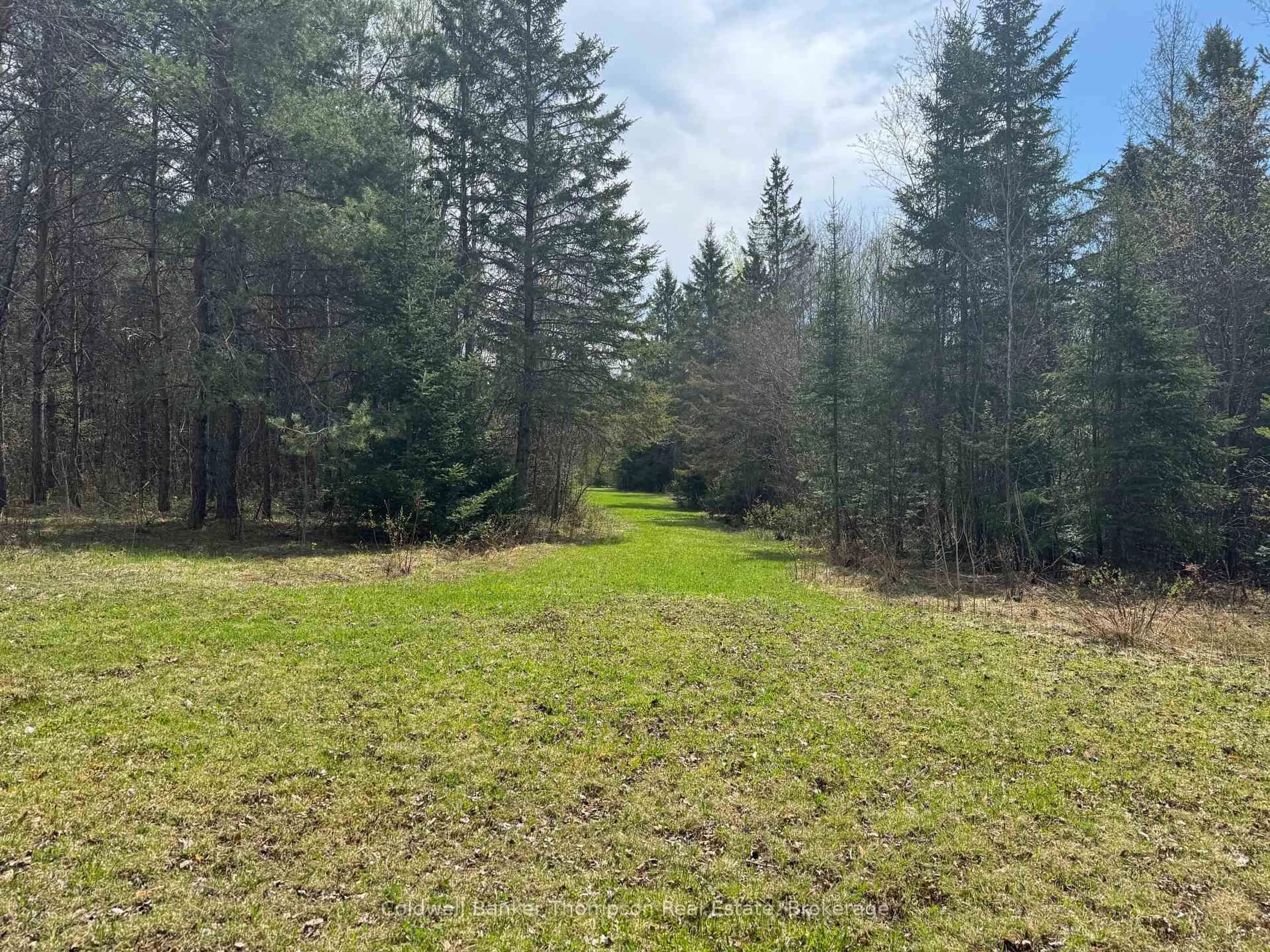 A pic from outside/outdoor area/front of a property/back of a property/a pic from drone, forest/trees view for 0 520 Highway Highway, Ryerson Ontario P0A 1C0