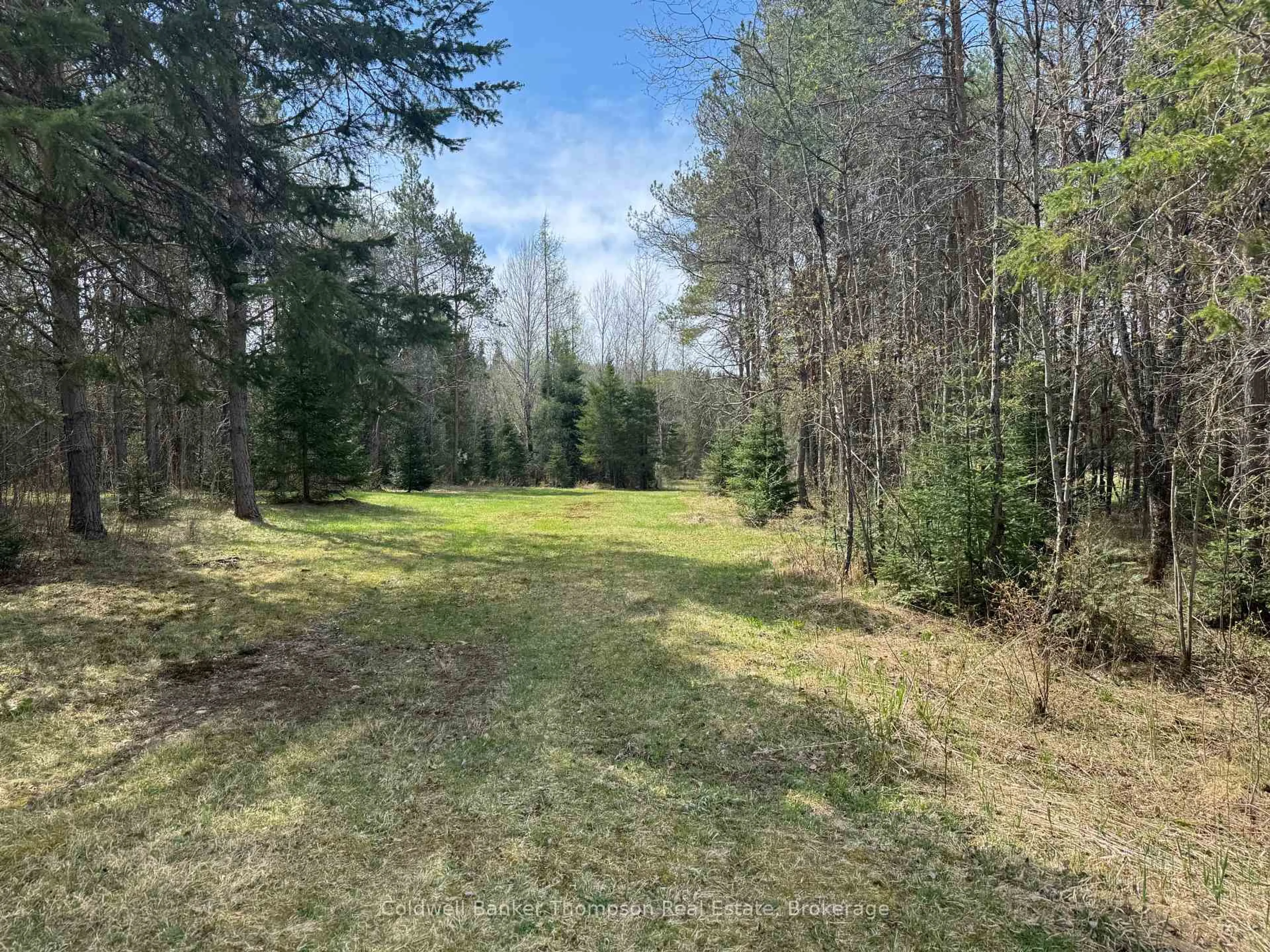 A pic from outside/outdoor area/front of a property/back of a property/a pic from drone, forest/trees view for 0 520 Highway Highway, Ryerson Ontario P0A 1C0