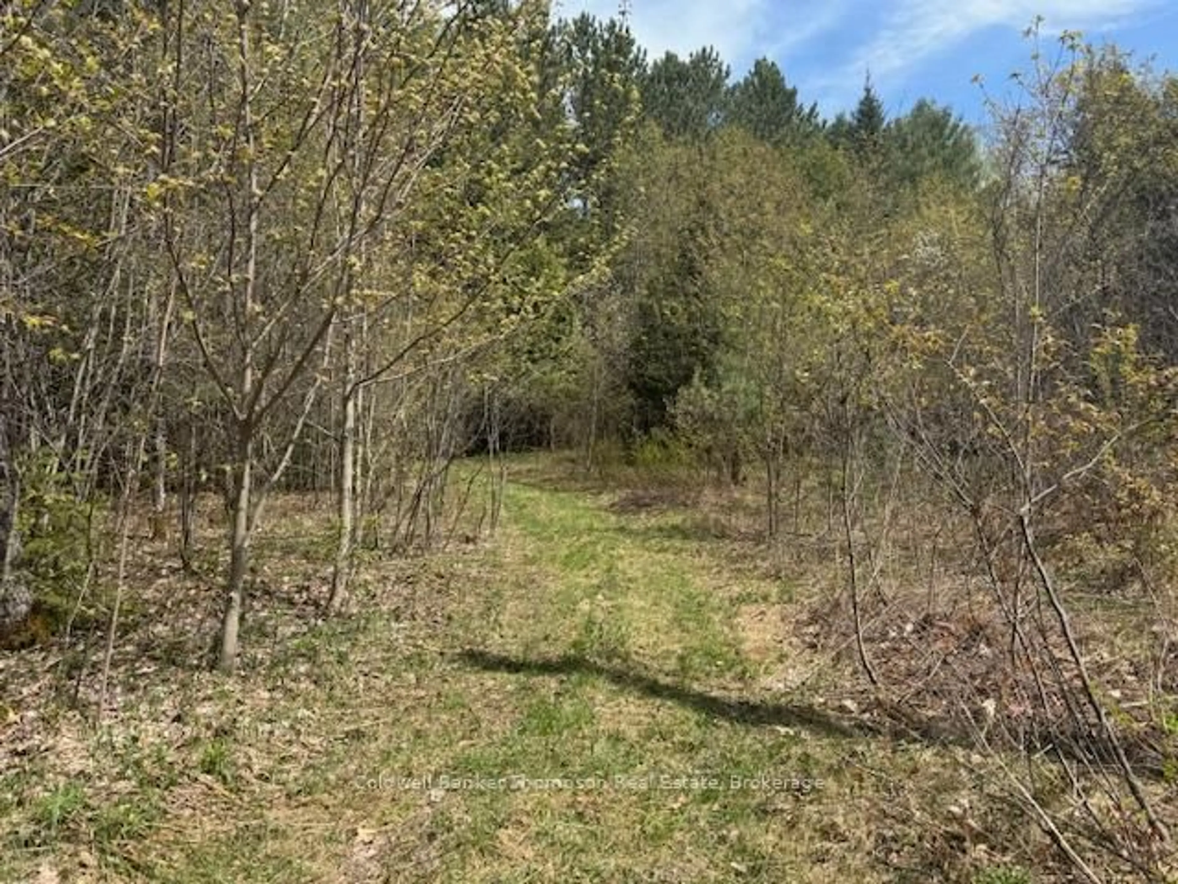 A pic from outside/outdoor area/front of a property/back of a property/a pic from drone, forest/trees view for 0 Lakeview Dr, Ryerson Ontario P0A 1C0