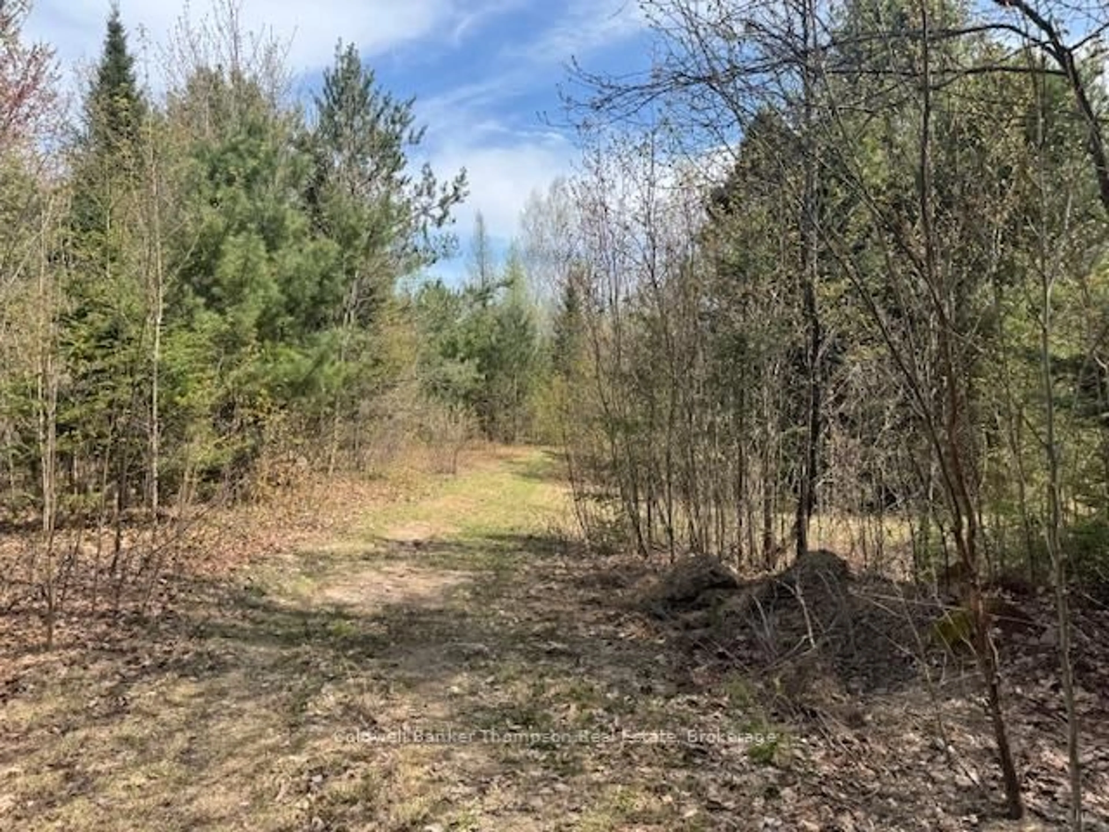 A pic from outside/outdoor area/front of a property/back of a property/a pic from drone, forest/trees view for 0 Lakeview Dr, Ryerson Ontario P0A 1C0