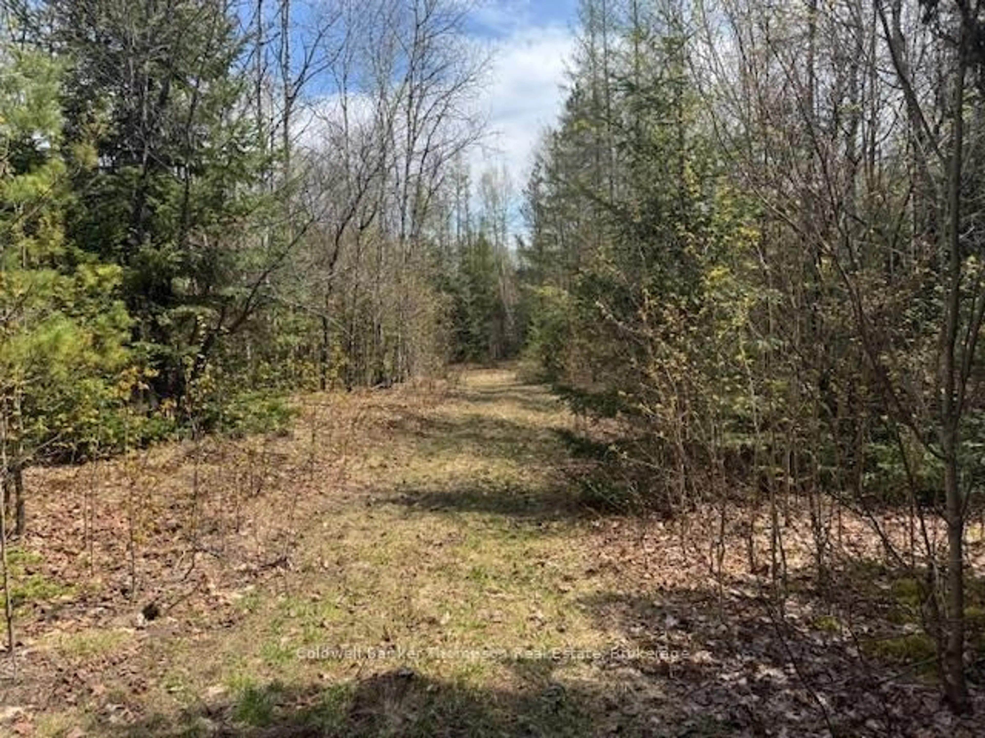 A pic from outside/outdoor area/front of a property/back of a property/a pic from drone, forest/trees view for 0 Lakeview Dr, Ryerson Ontario P0A 1C0
