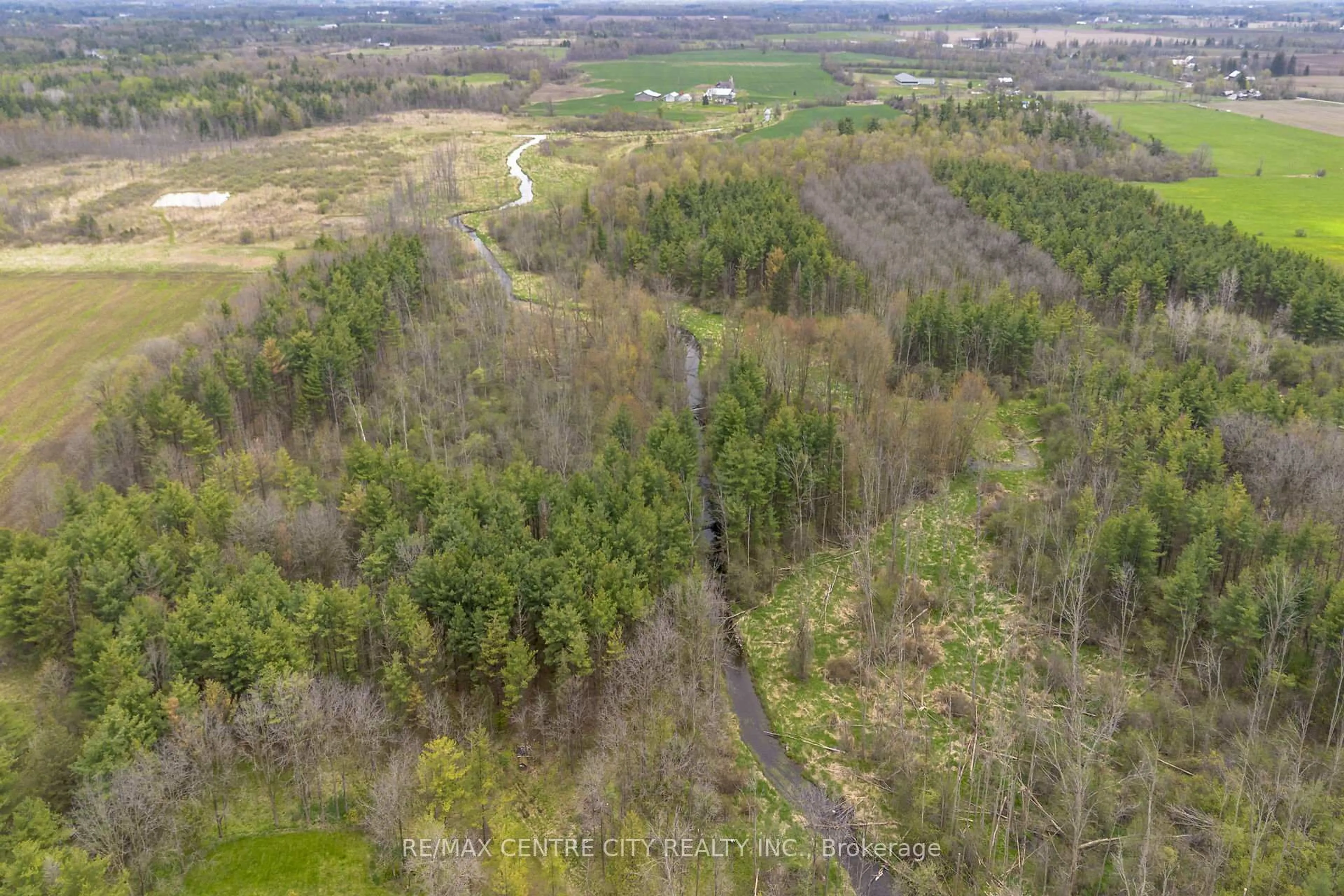 A pic from outside/outdoor area/front of a property/back of a property/a pic from drone, forest/trees view for 2124 Concession 6 West Rd, Hamilton Ontario N0B 1L0