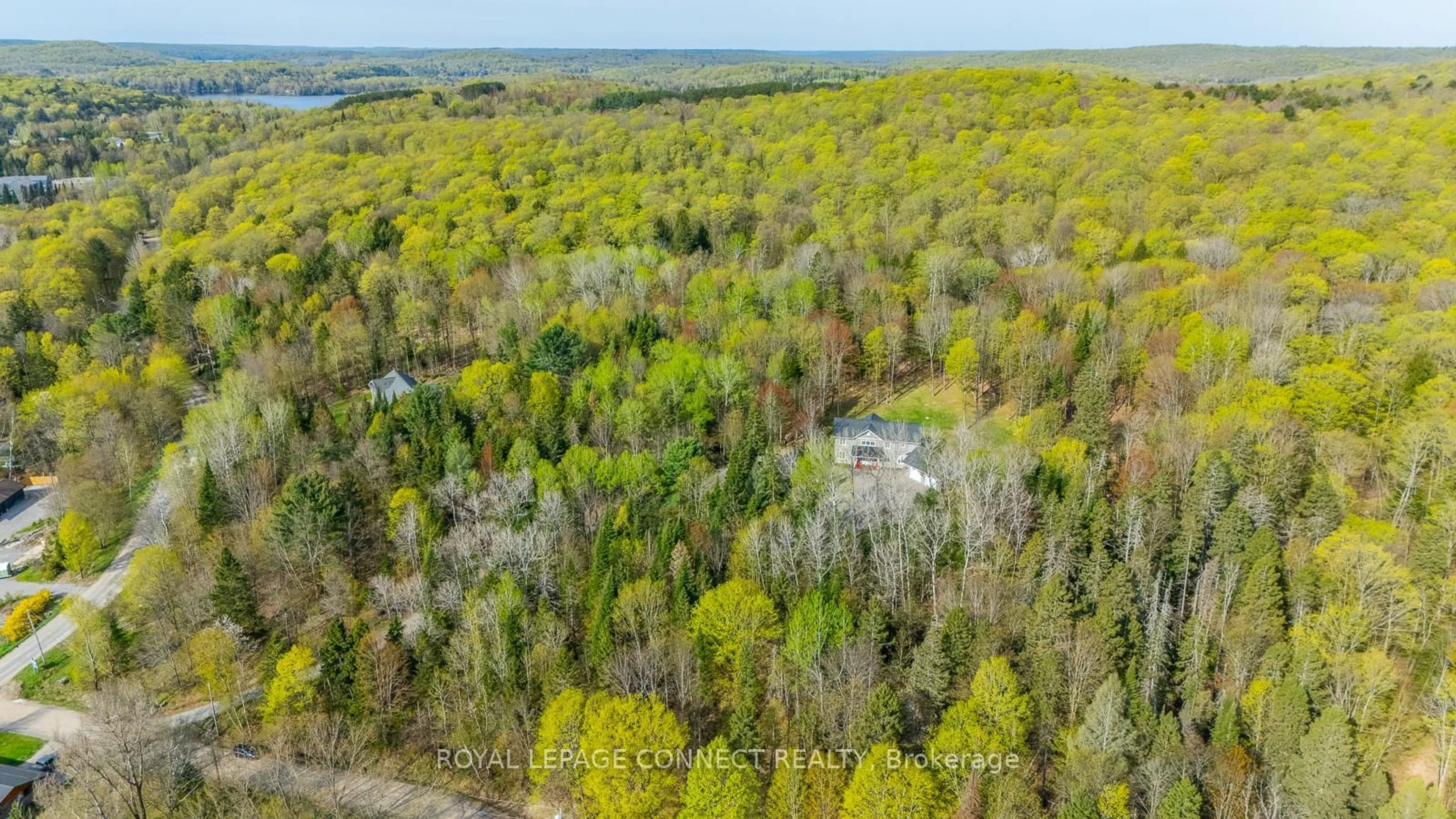 A pic from outside/outdoor area/front of a property/back of a property/a pic from drone, forest/trees view for 63 Bayshore Rd, Dysart et al Ontario K0M 1S0