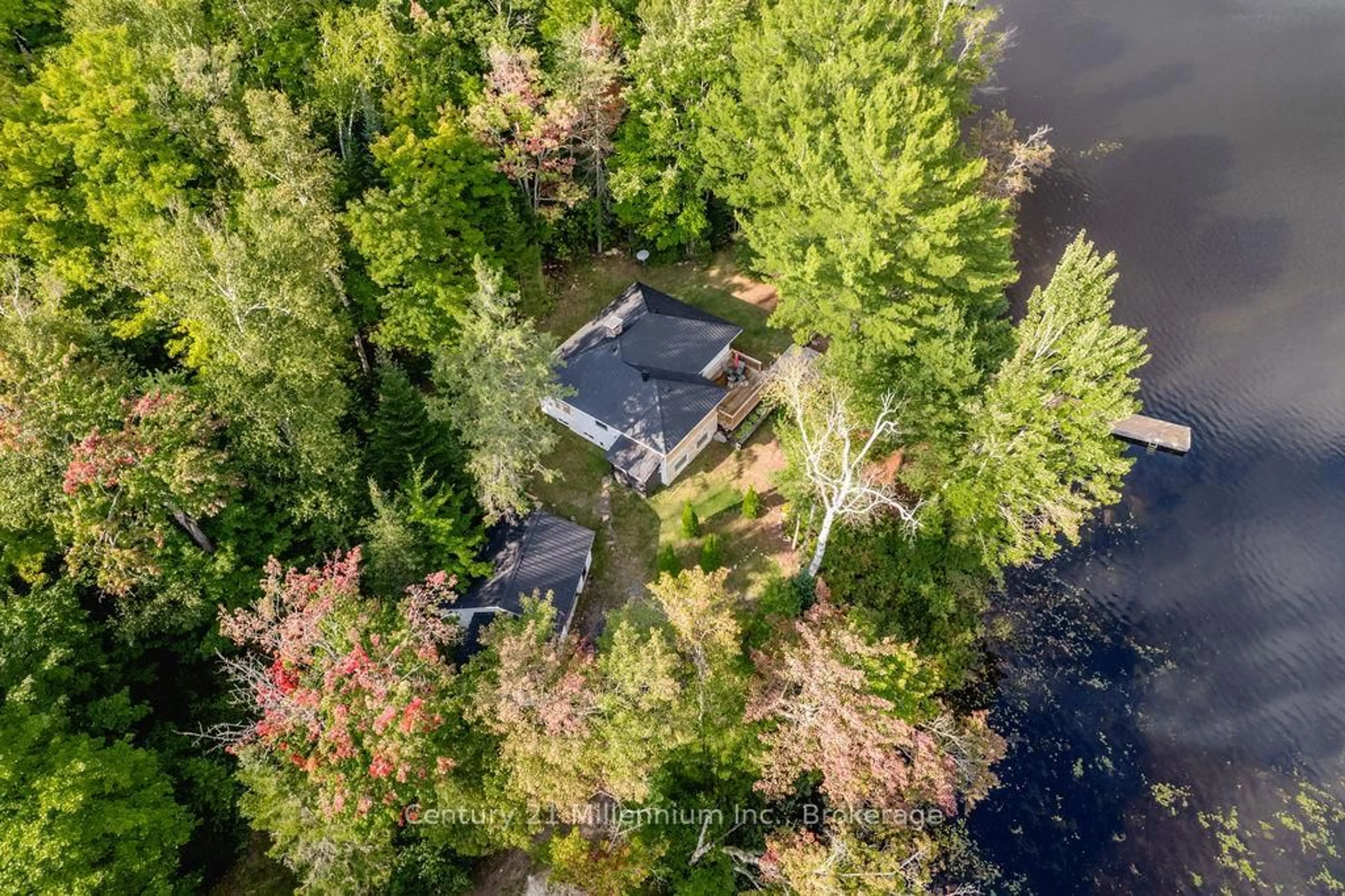 A pic from outside/outdoor area/front of a property/back of a property/a pic from drone, forest/trees view for 1046 Pine Lake Shores Private, Bracebridge Ontario P0B 1A0