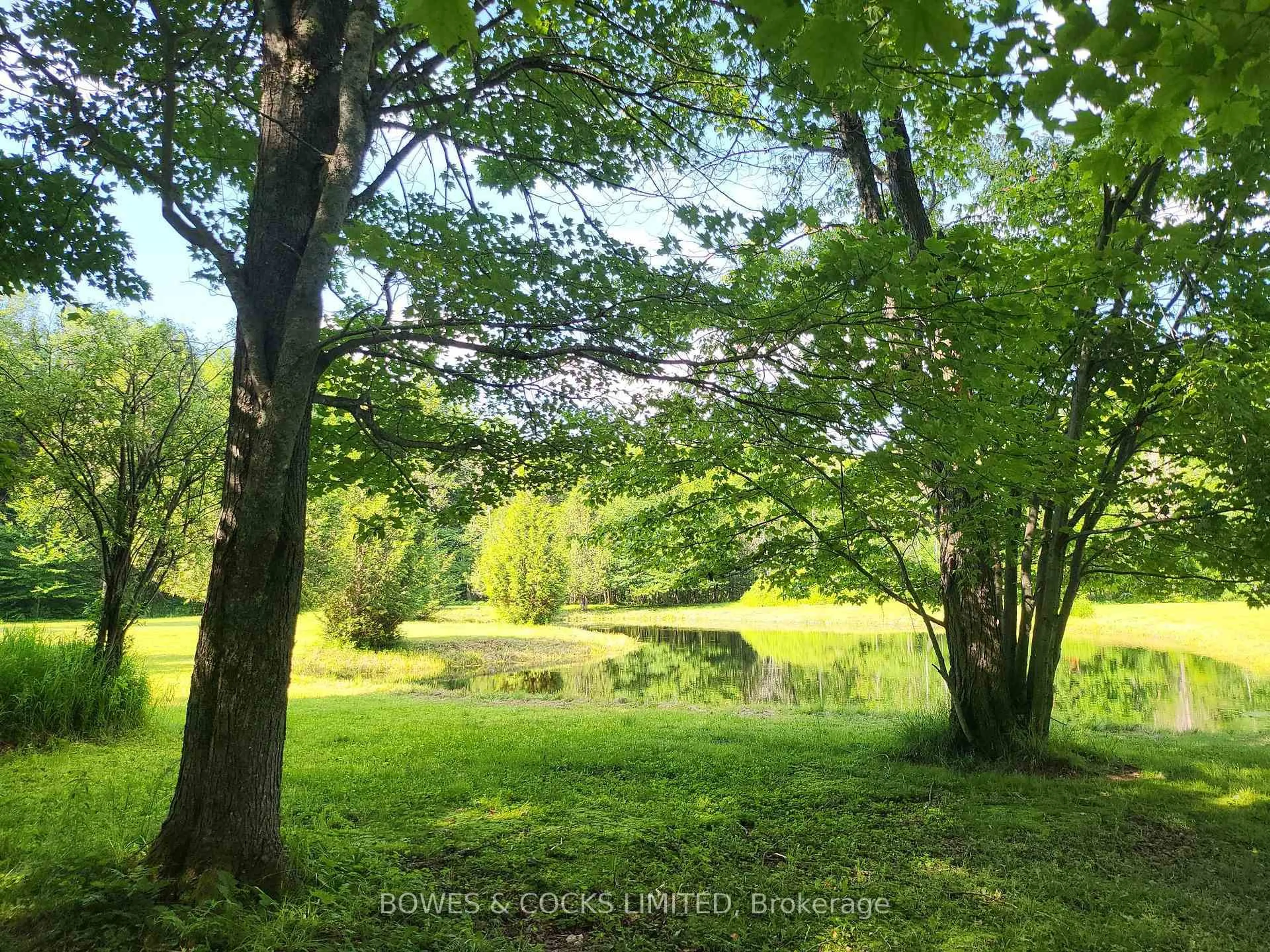 A pic from outside/outdoor area/front of a property/back of a property/a pic from drone, forest/trees view for 56 Otter Lake Rd, Bancroft Ontario K0L 1C0