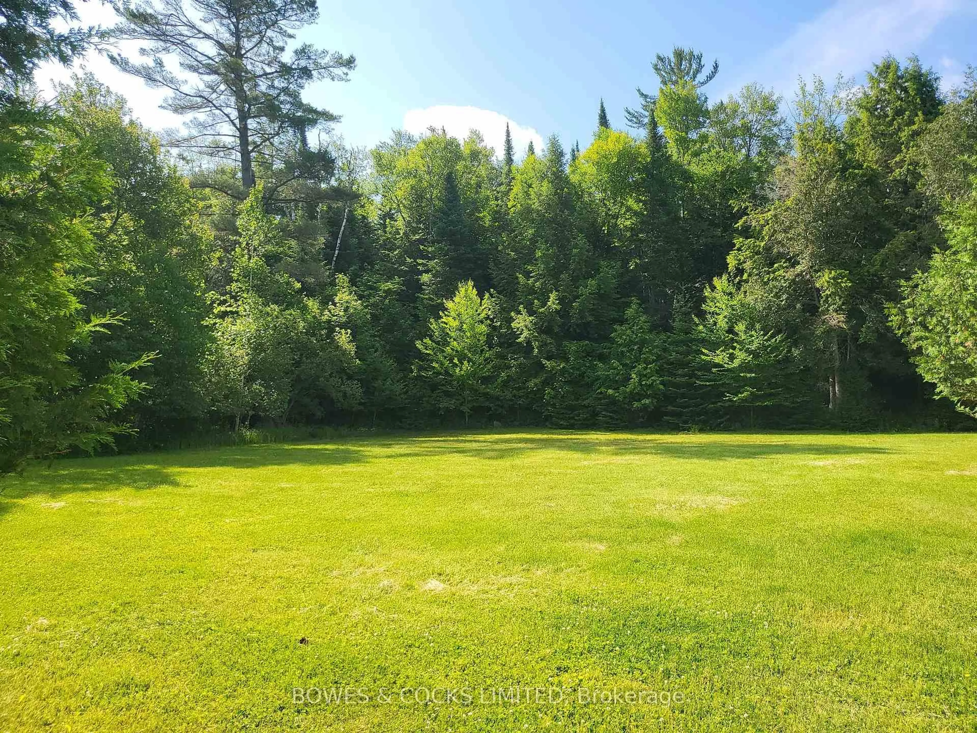 A pic from outside/outdoor area/front of a property/back of a property/a pic from drone, forest/trees view for 56 Otter Lake Rd, Bancroft Ontario K0L 1C0
