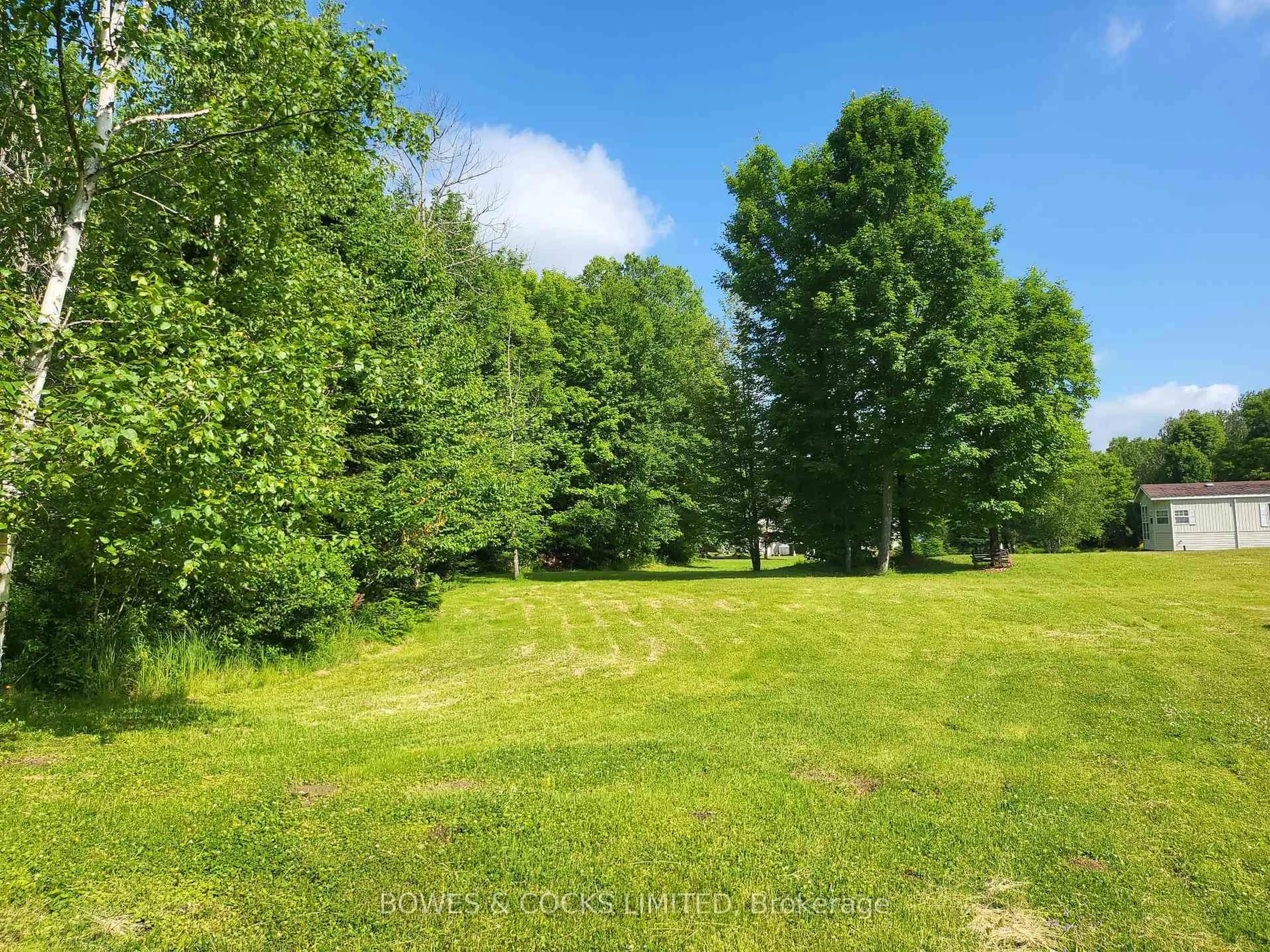 A pic from outside/outdoor area/front of a property/back of a property/a pic from drone, forest/trees view for 56 Otter Lake Rd, Bancroft Ontario K0L 1C0