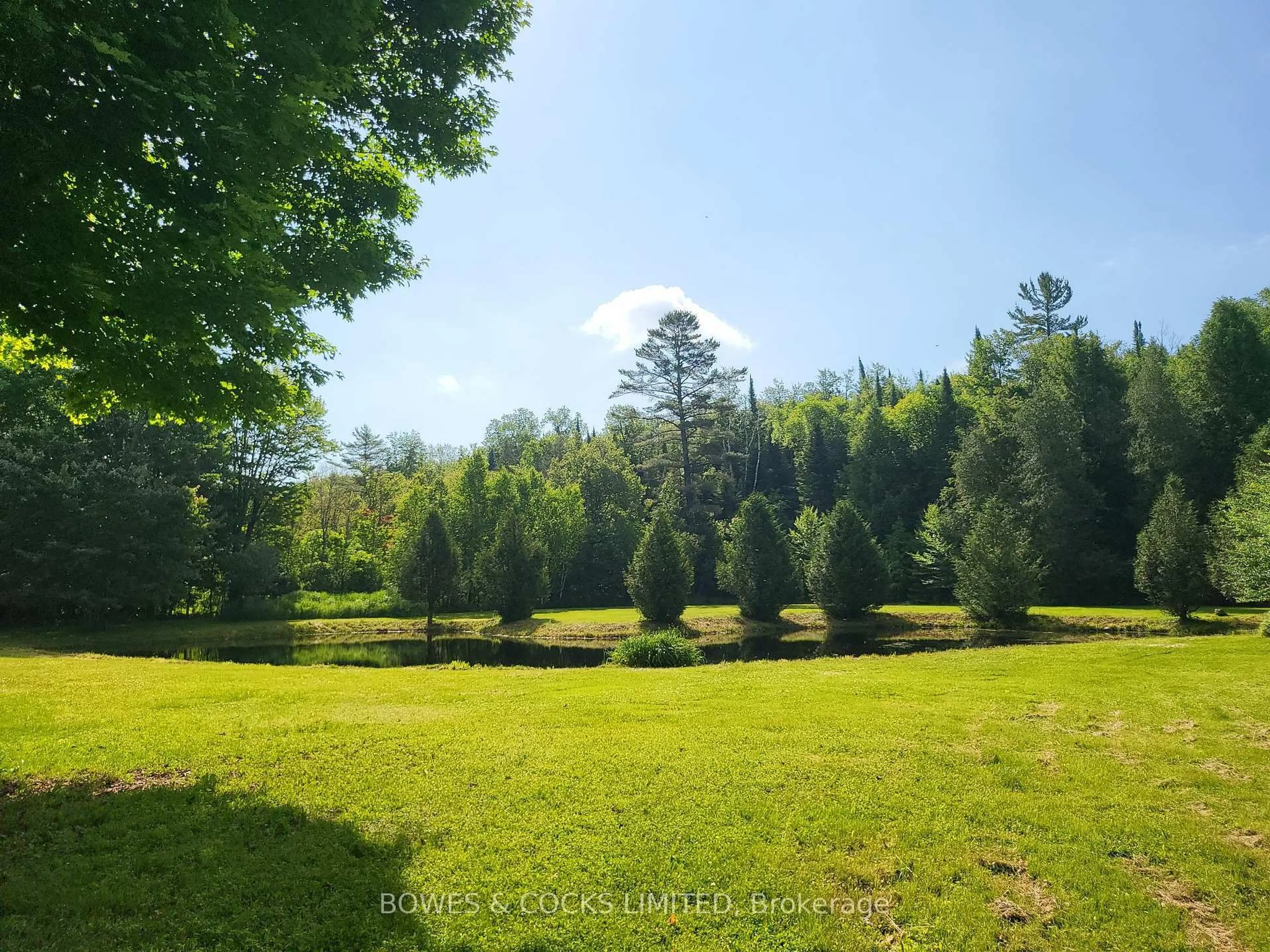 A pic from outside/outdoor area/front of a property/back of a property/a pic from drone, forest/trees view for 56 Otter Lake Rd, Bancroft Ontario K0L 1C0