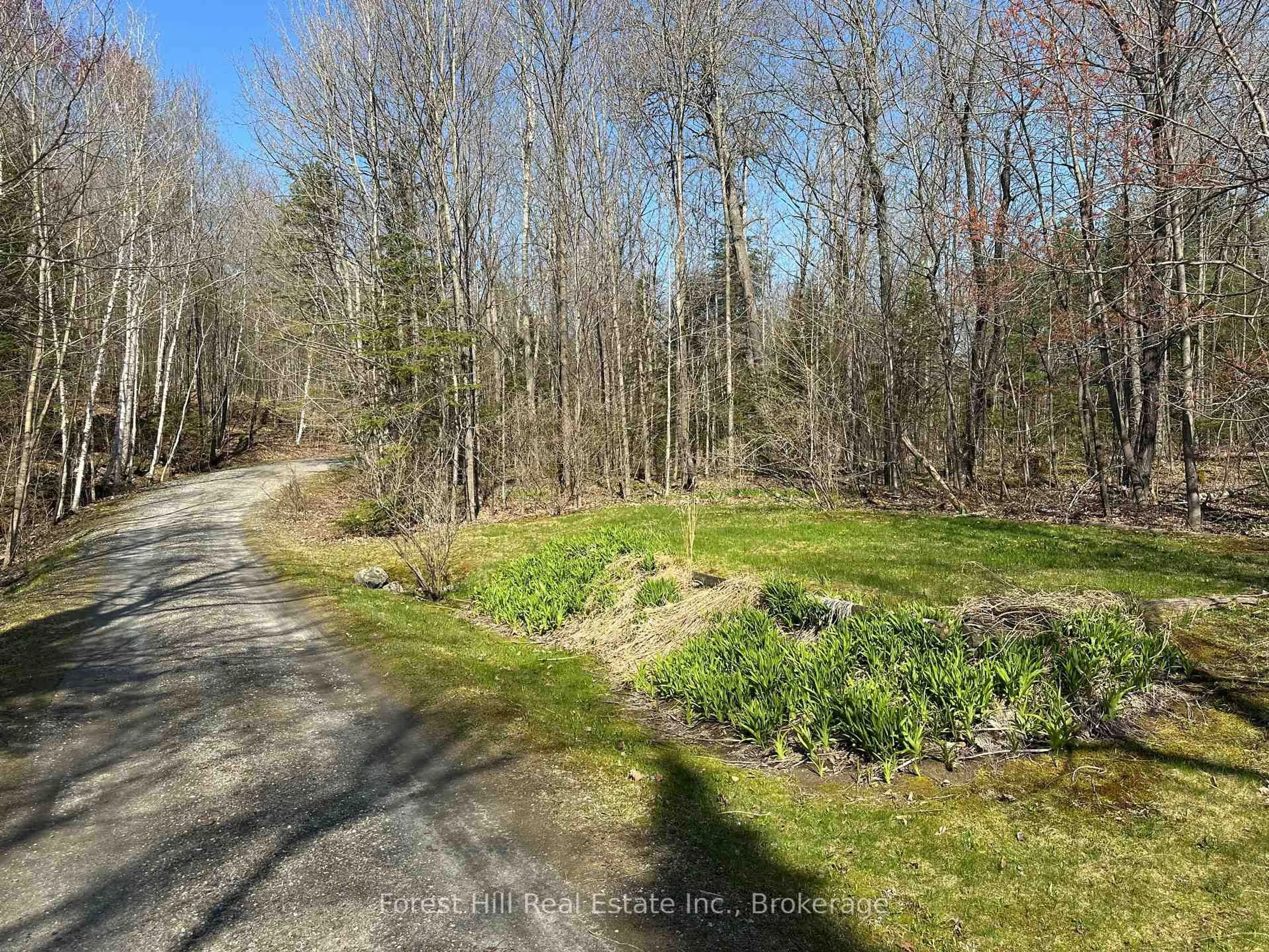 A pic from outside/outdoor area/front of a property/back of a property/a pic from drone, forest/trees view for 190 Lone Tree Rd, Parry Sound Remote Area Ontario P0H 1S0
