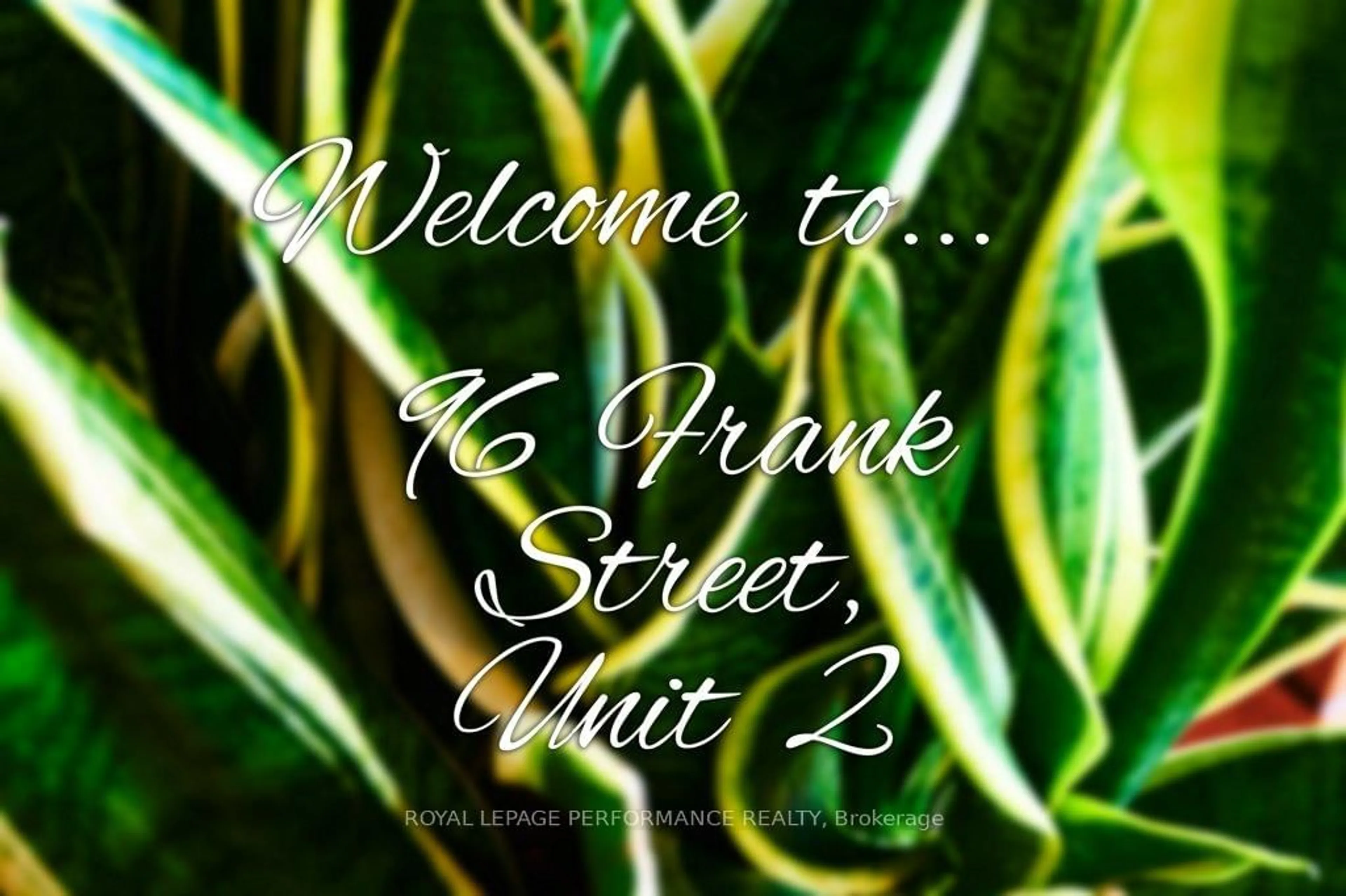Unknown for 96 Frank St #2, Ottawa Ontario K2P 0X2
