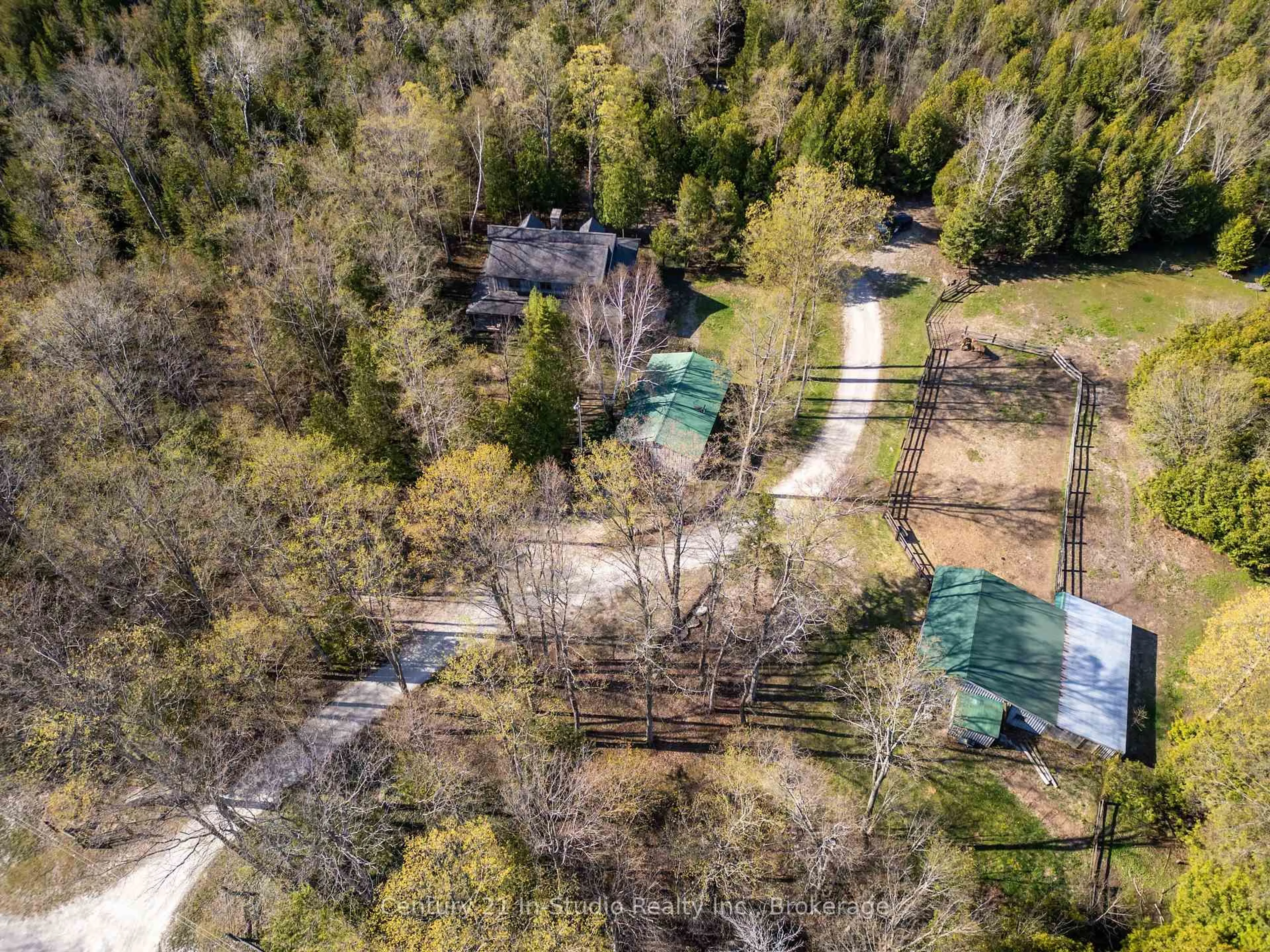 A pic from outside/outdoor area/front of a property/back of a property/a pic from drone, forest/trees view for 299 North Diagonal Rd, South Bruce Peninsula Ontario N0H 2T0