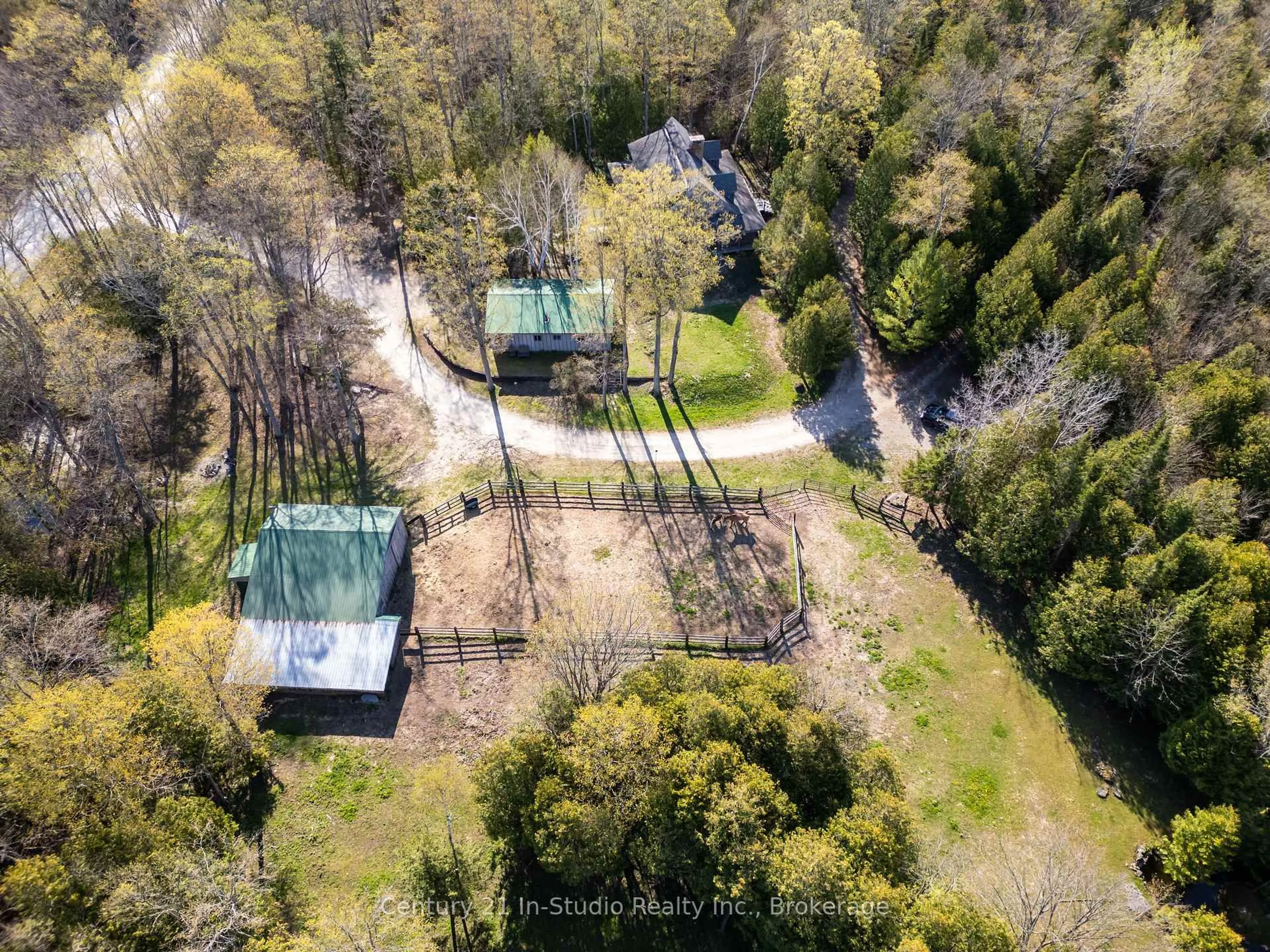 A pic from outside/outdoor area/front of a property/back of a property/a pic from drone, forest/trees view for 299 North Diagonal Rd, South Bruce Peninsula Ontario N0H 2T0