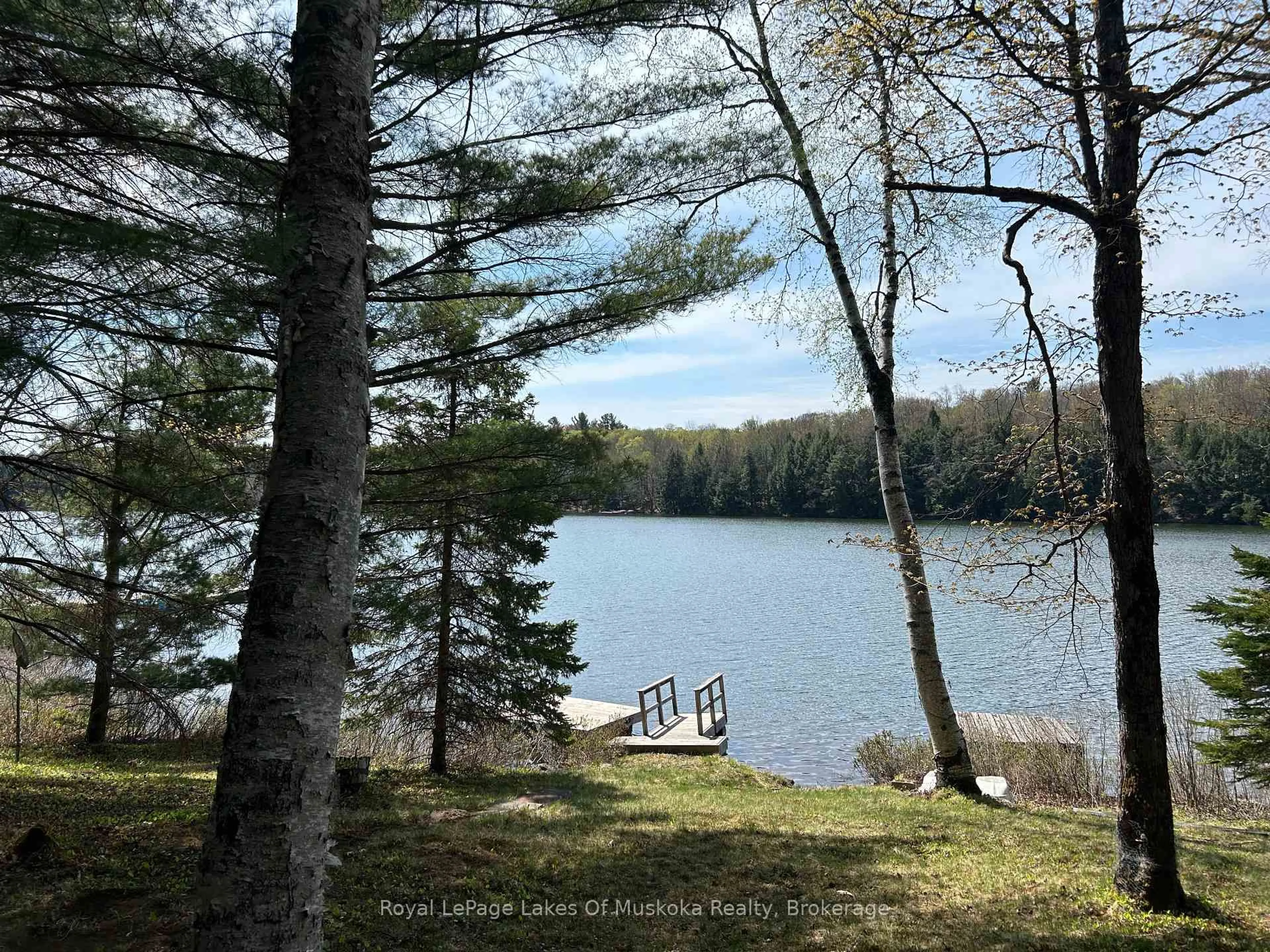 A pic from outside/outdoor area/front of a property/back of a property/a pic from drone, water/lake/river/ocean view for 1090 North Tooke Lake Rd, Lake of Bays Ontario P0B 1A0