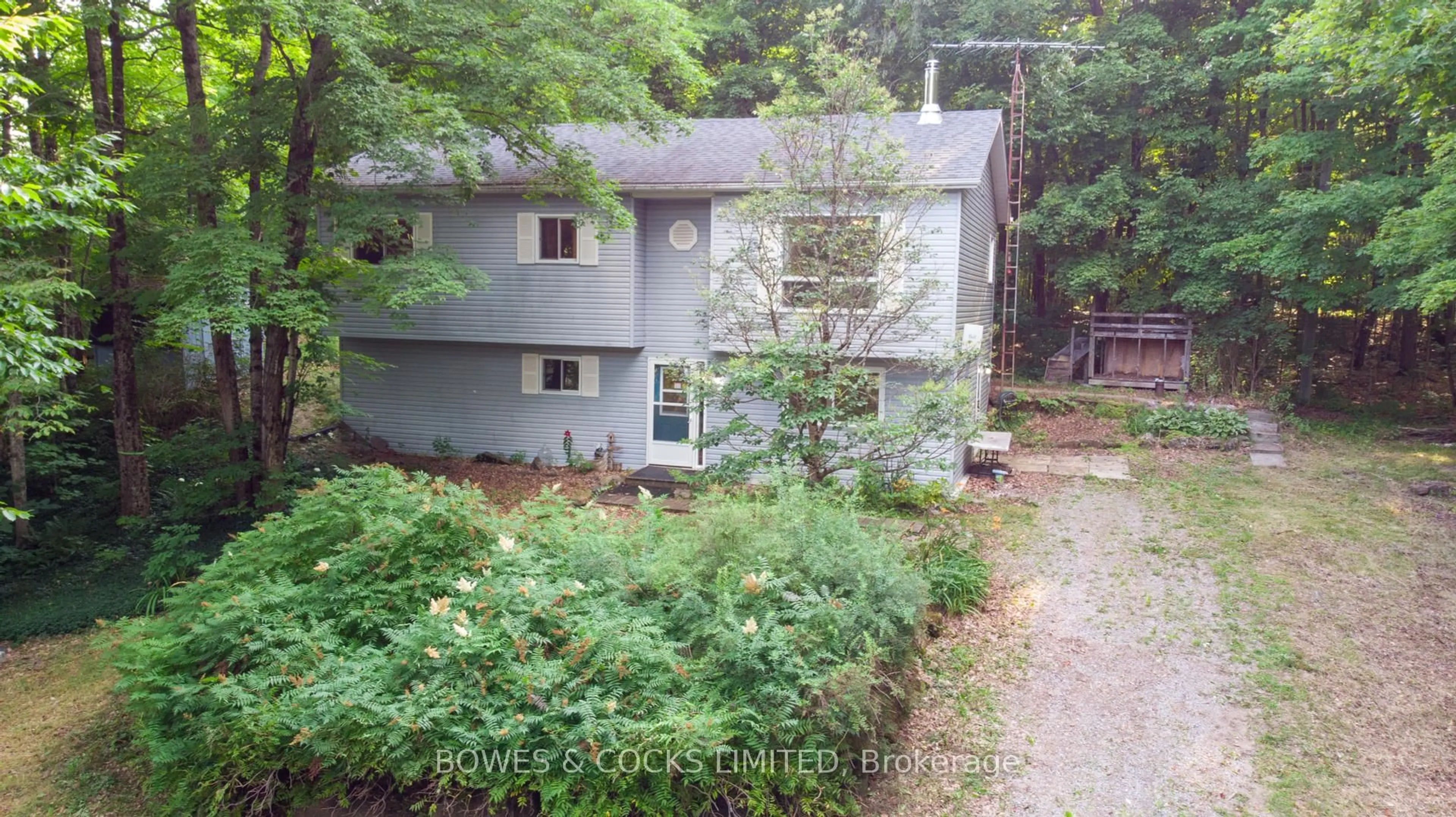 A pic from outside/outdoor area/front of a property/back of a property/a pic from drone, forest/trees view for 2276 COUNTY ROAD 620 N/A, North Kawartha Ontario K0L 1A0