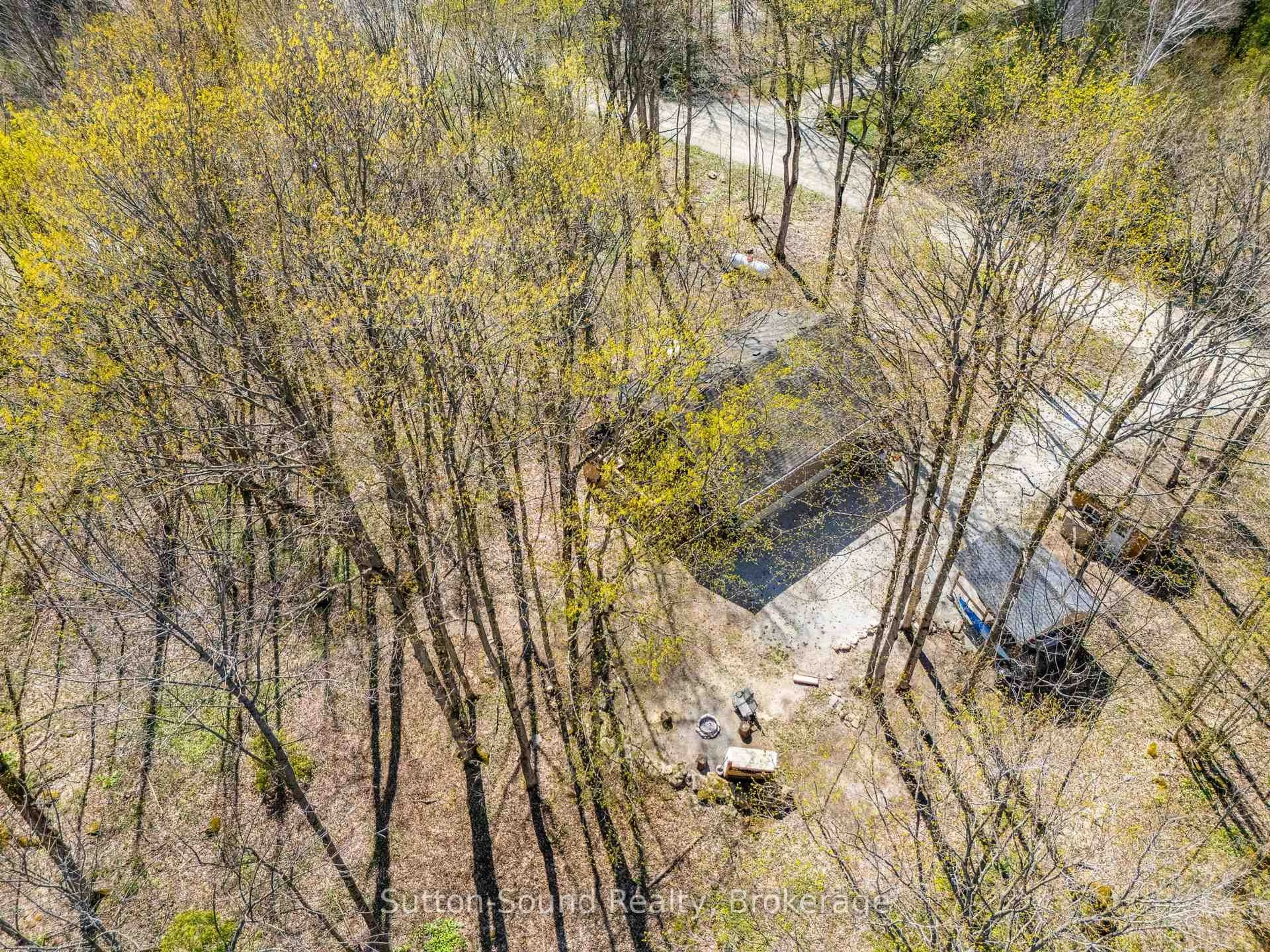 A pic from outside/outdoor area/front of a property/back of a property/a pic from drone, forest/trees view for 203 Francis Dr, Georgian Bluffs Ontario N0H 2K0