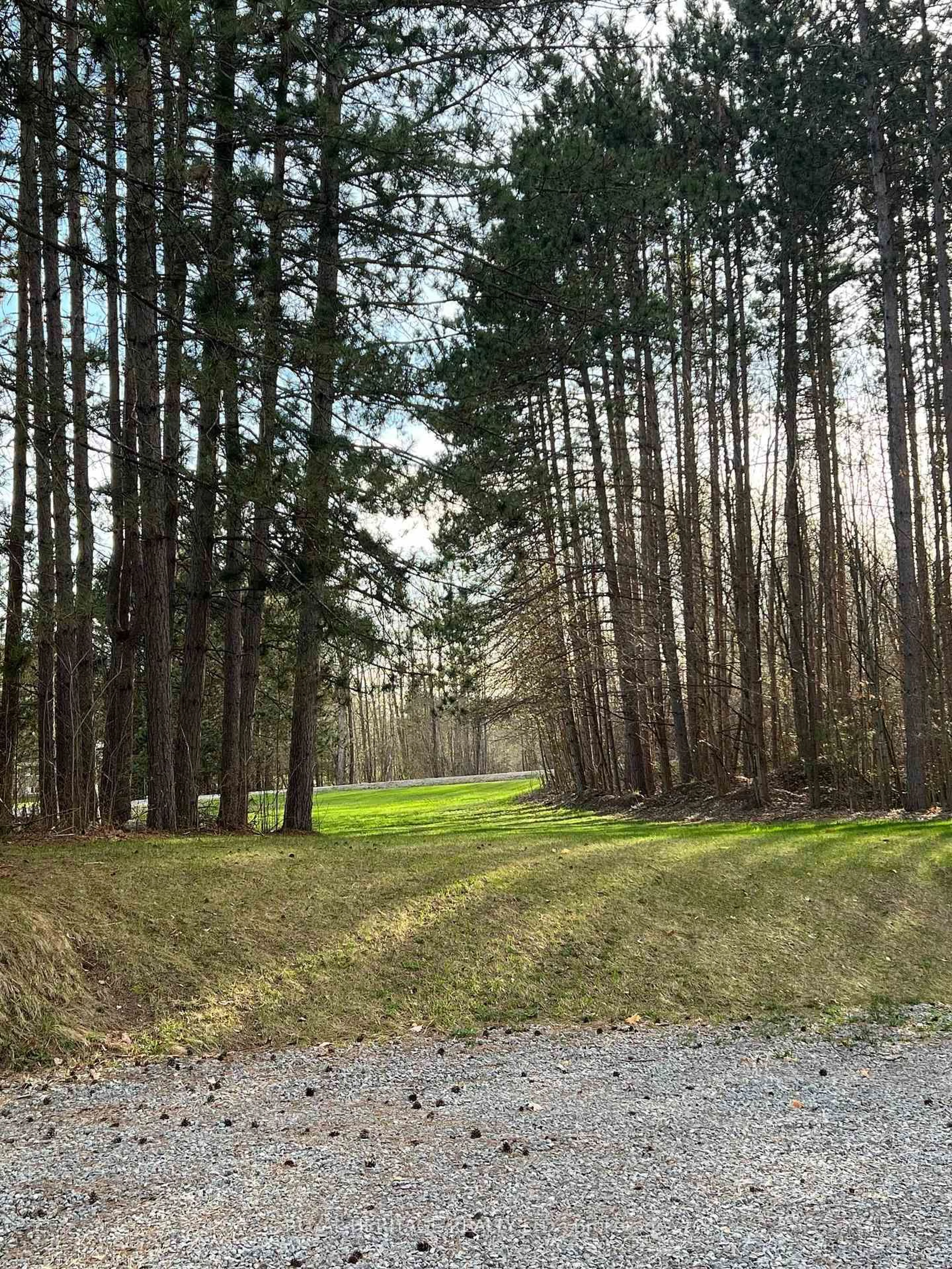 A pic from outside/outdoor area/front of a property/back of a property/a pic from drone, forest/trees view for 19 Mccrea Crt, Tweed Ontario K0K 3J0