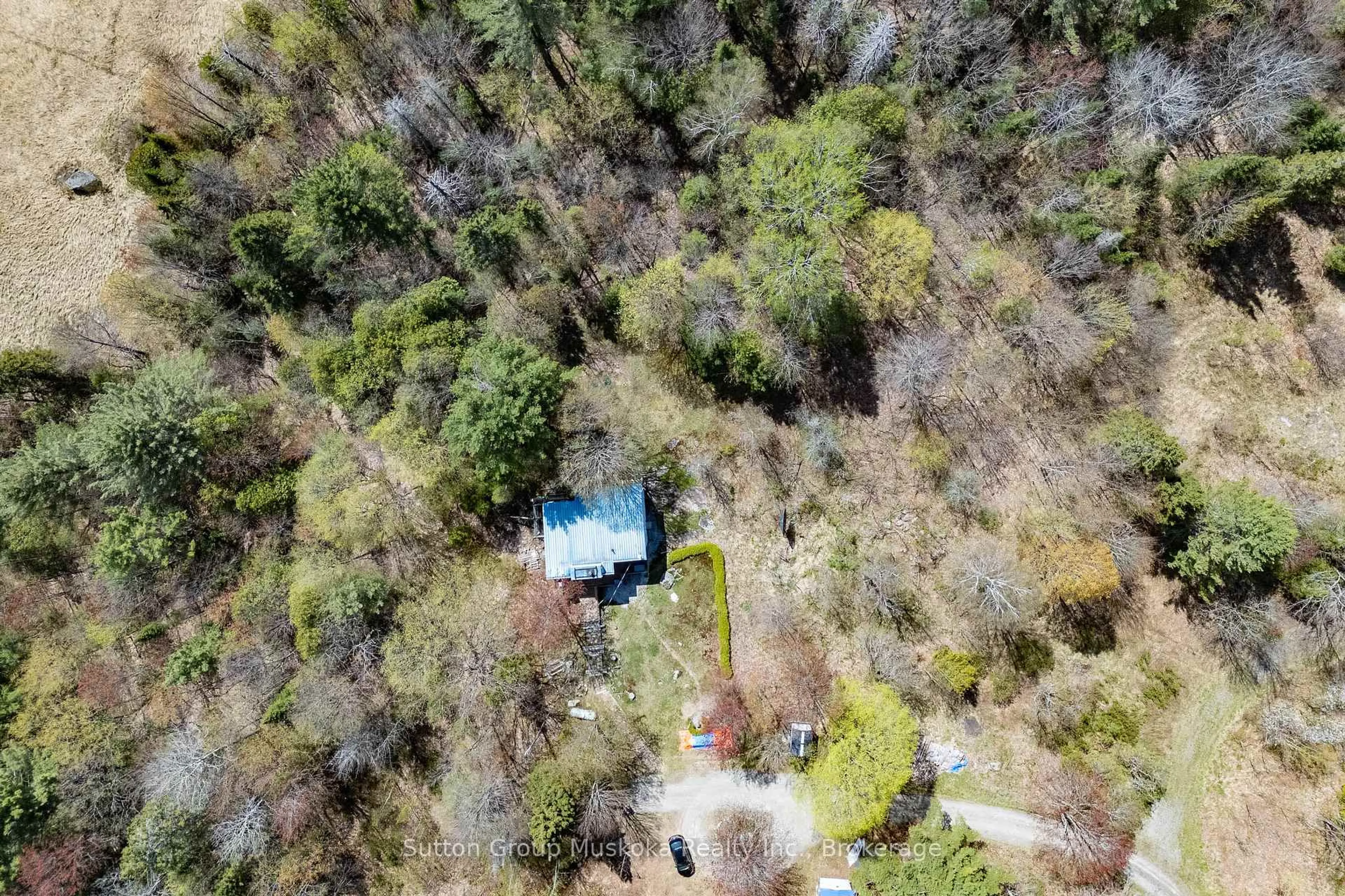 A pic from outside/outdoor area/front of a property/back of a property/a pic from drone, forest/trees view for 1667 Paint Lake Rd, Lake of Bays Ontario P0A 1E0