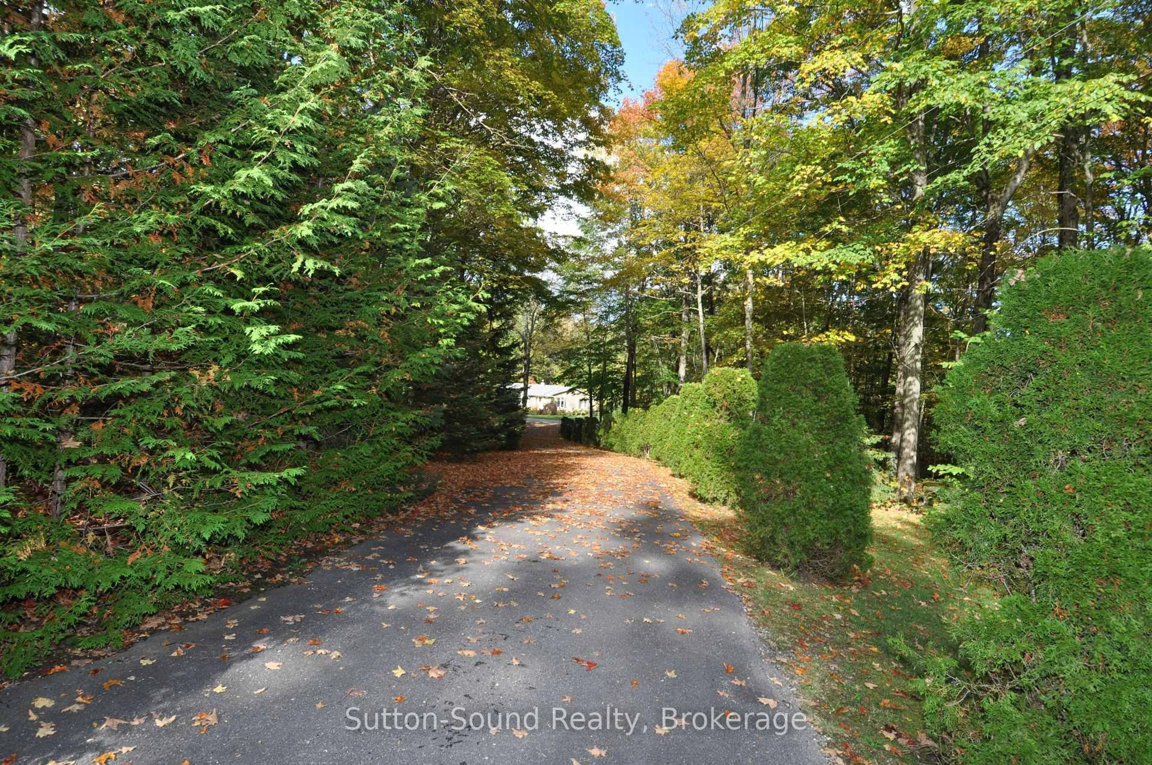 A pic from outside/outdoor area/front of a property/back of a property/a pic from drone, forest/trees view for 362534 Lindenwood Rd, Georgian Bluffs Ontario N0H 2T0