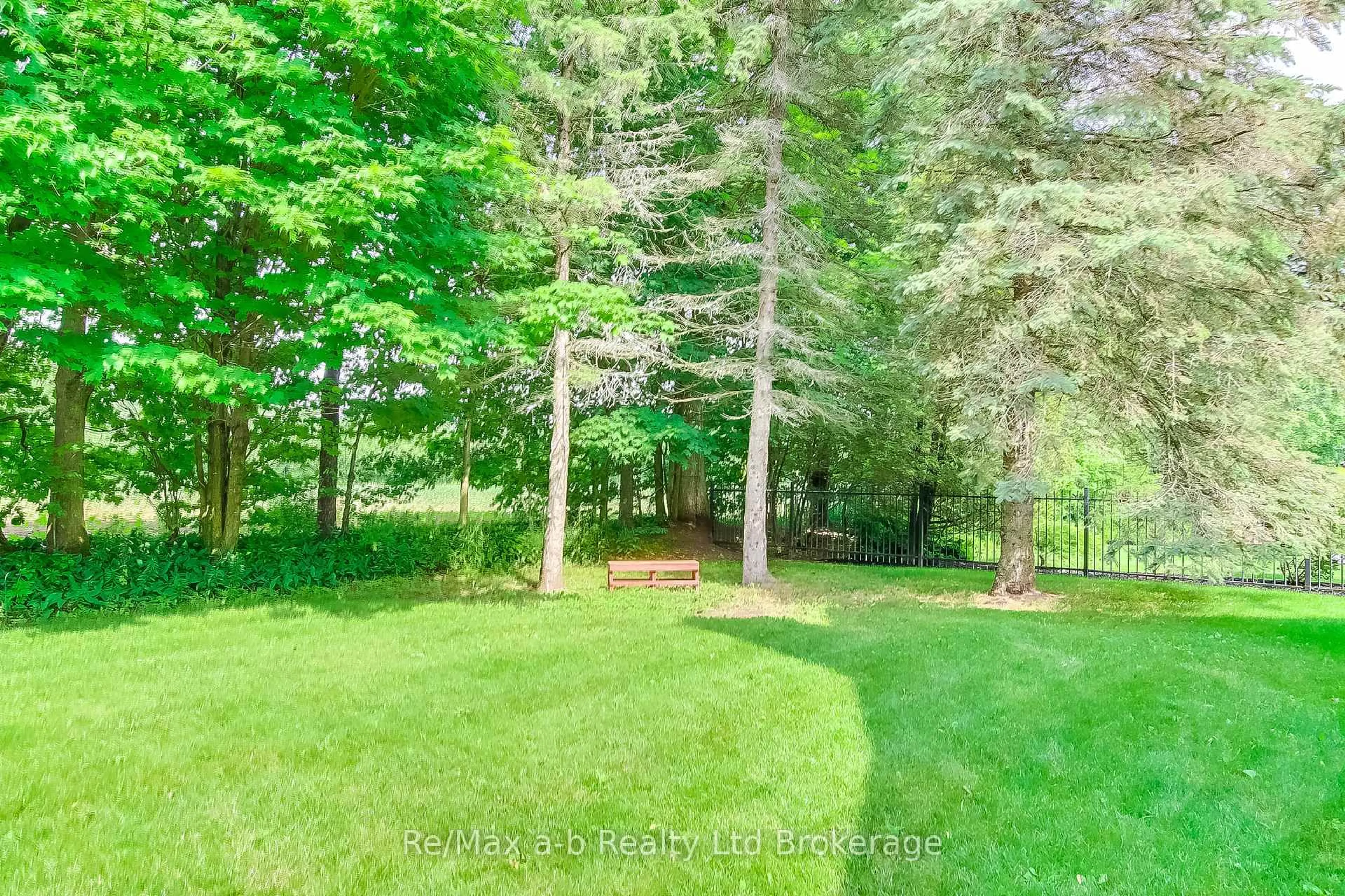 A pic from outside/outdoor area/front of a property/back of a property/a pic from drone, forest/trees view for 81 Windham 9 Rd, Norfolk Ontario N0E 1H0