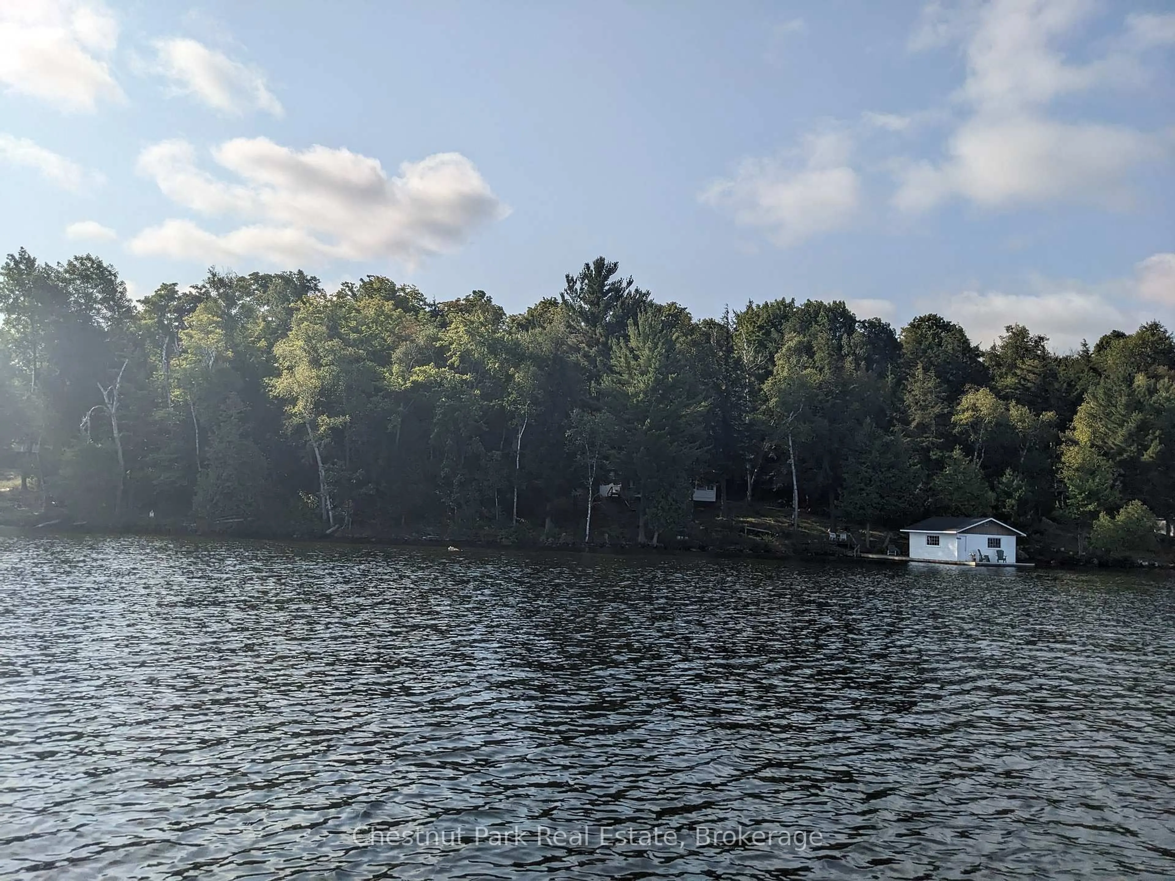 Blurry image for 76 Tobin Island, Muskoka Lakes Ontario P0B 1J0