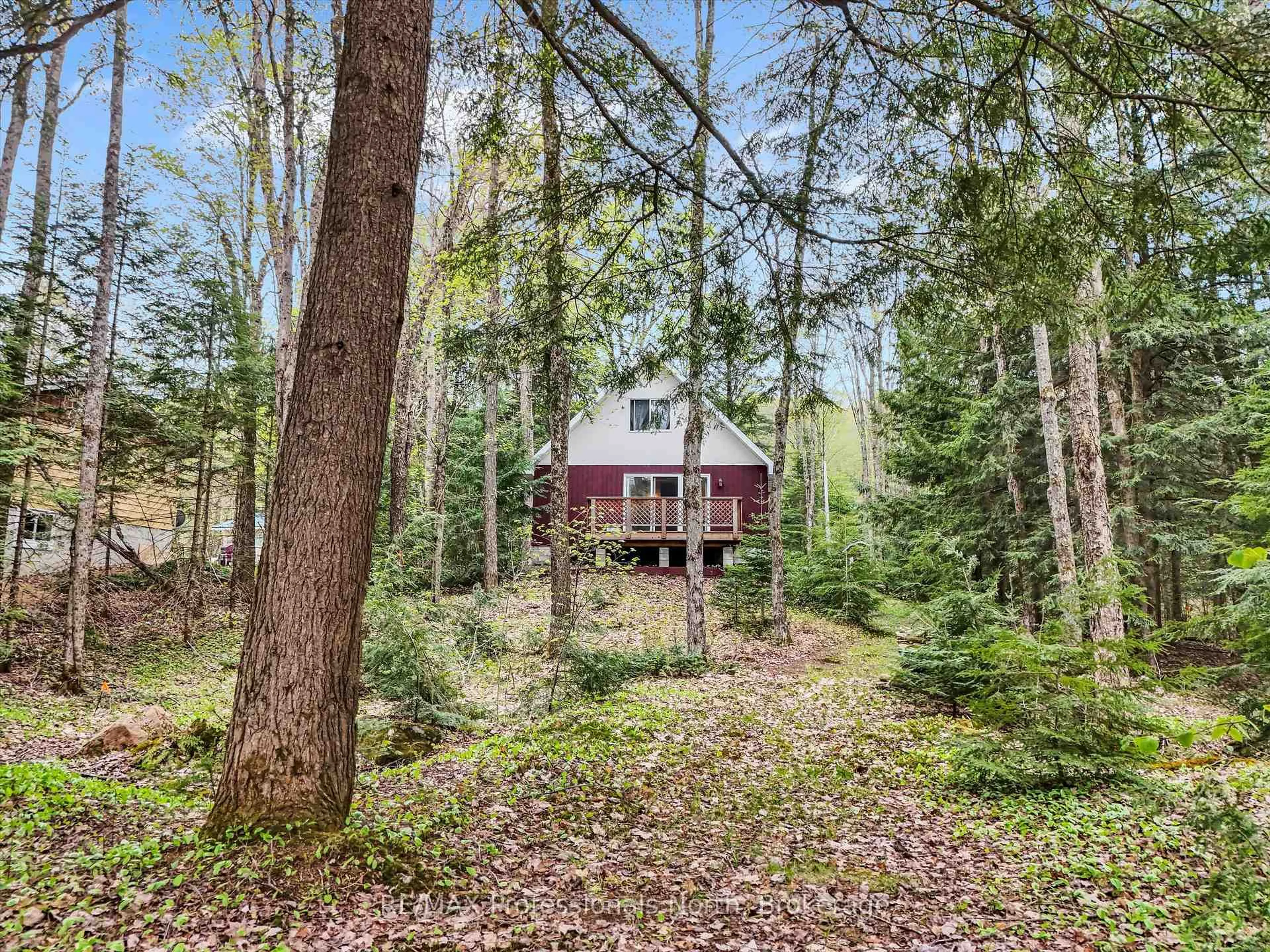 A pic from outside/outdoor area/front of a property/back of a property/a pic from drone, forest/trees view for 1165 Sherwood Forest Rd, Bracebridge Ontario P1L 1X3