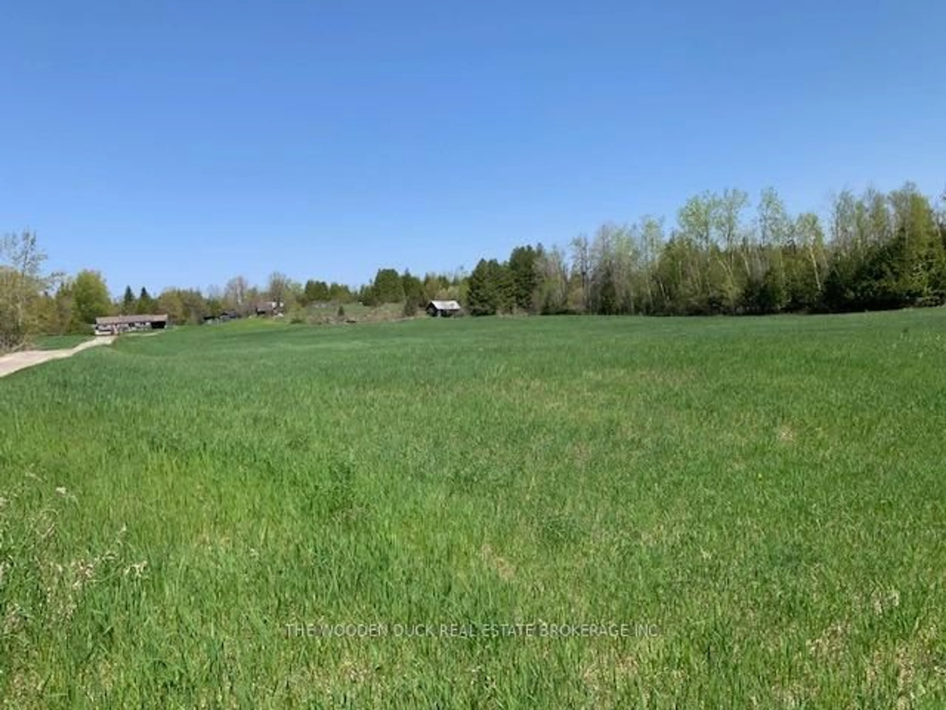 A pic from outside/outdoor area/front of a property/back of a property/a pic from drone, forest/trees view for 172 Dewey Rd, Havelock-Belmont-Methuen Ontario K0L 1Z0