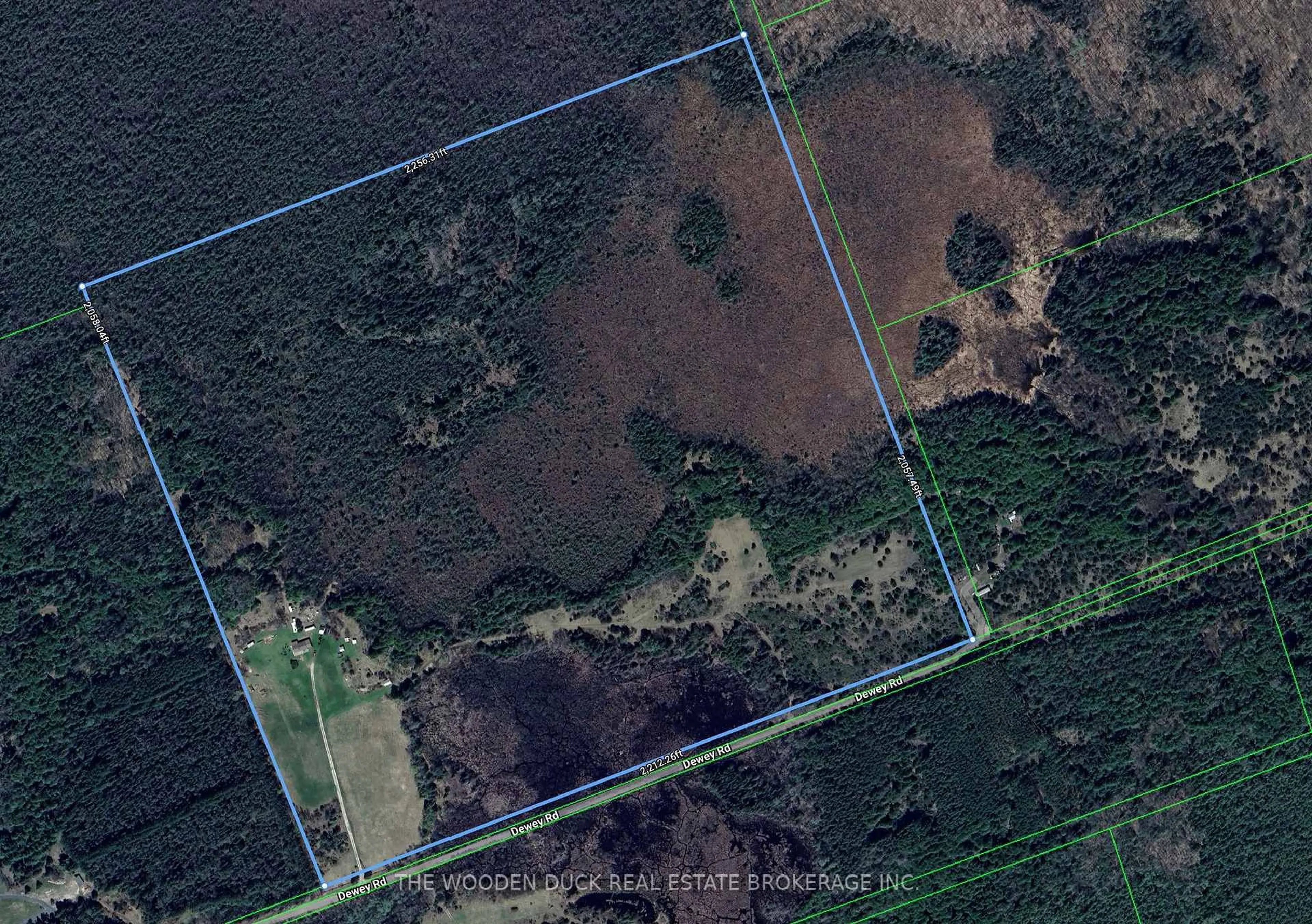 A pic from outside/outdoor area/front of a property/back of a property/a pic from drone, forest/trees view for 172 Dewey Rd, Havelock-Belmont-Methuen Ontario K0L 1Z0