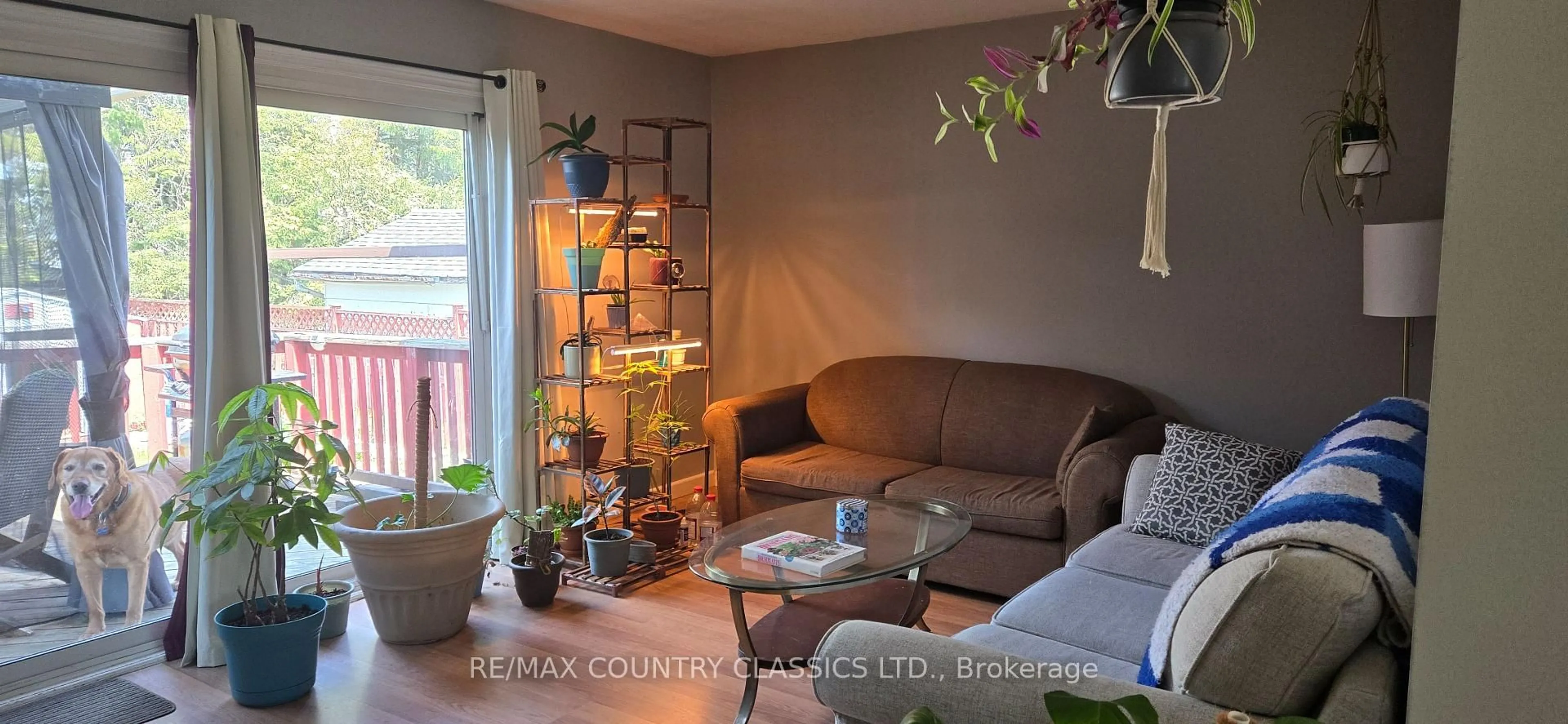 Living room with furniture, wood/laminate floor for 4 Hemlock St, Highlands East Ontario K0L 1M0