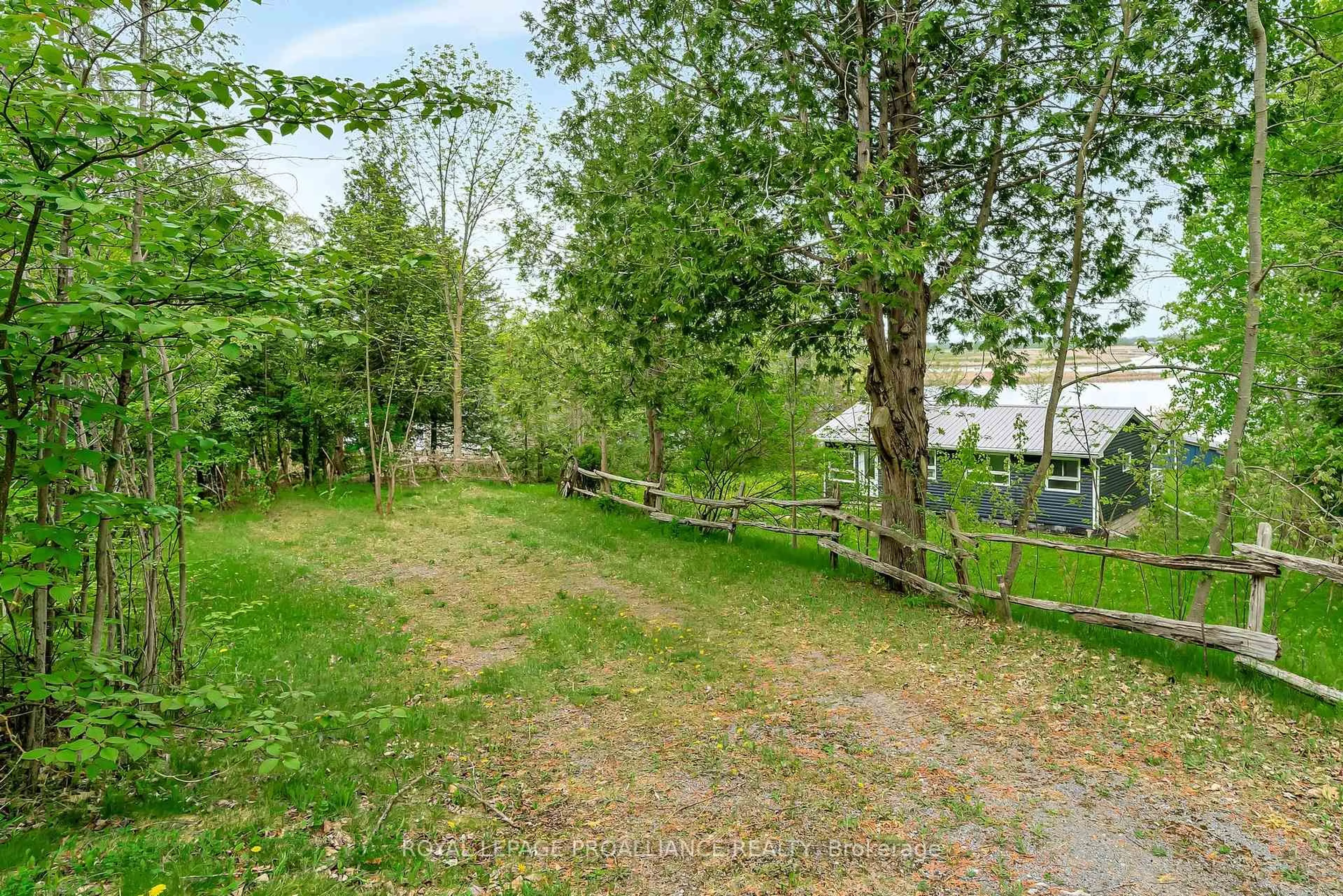 A pic from outside/outdoor area/front of a property/back of a property/a pic from drone, forest/trees view for 40 Cedar Lane, Hastings Ontario K0K 2C0