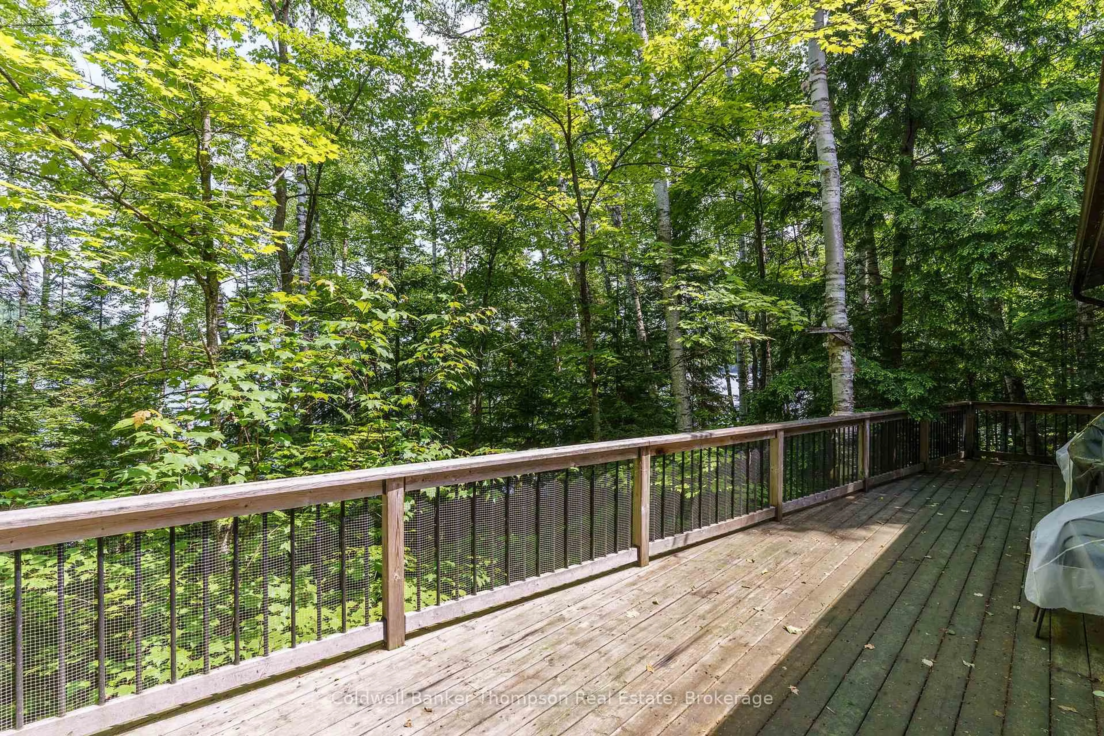 Patio, forest/trees view for 594 HAZARD HILL Rd, Kearney Ontario P0A 1Y0