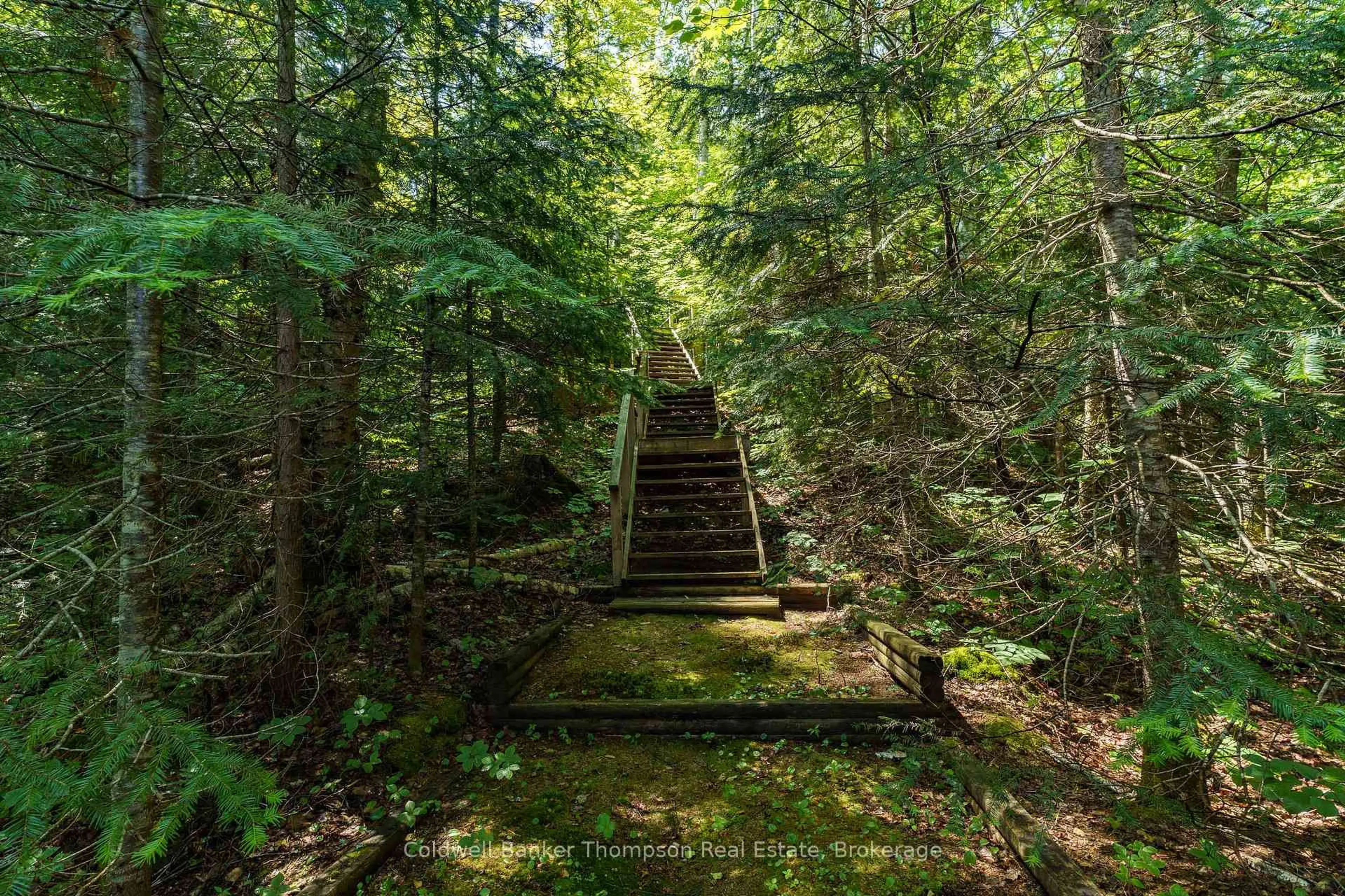 Stairs for 594 HAZARD HILL Rd, Kearney Ontario P0A 1Y0