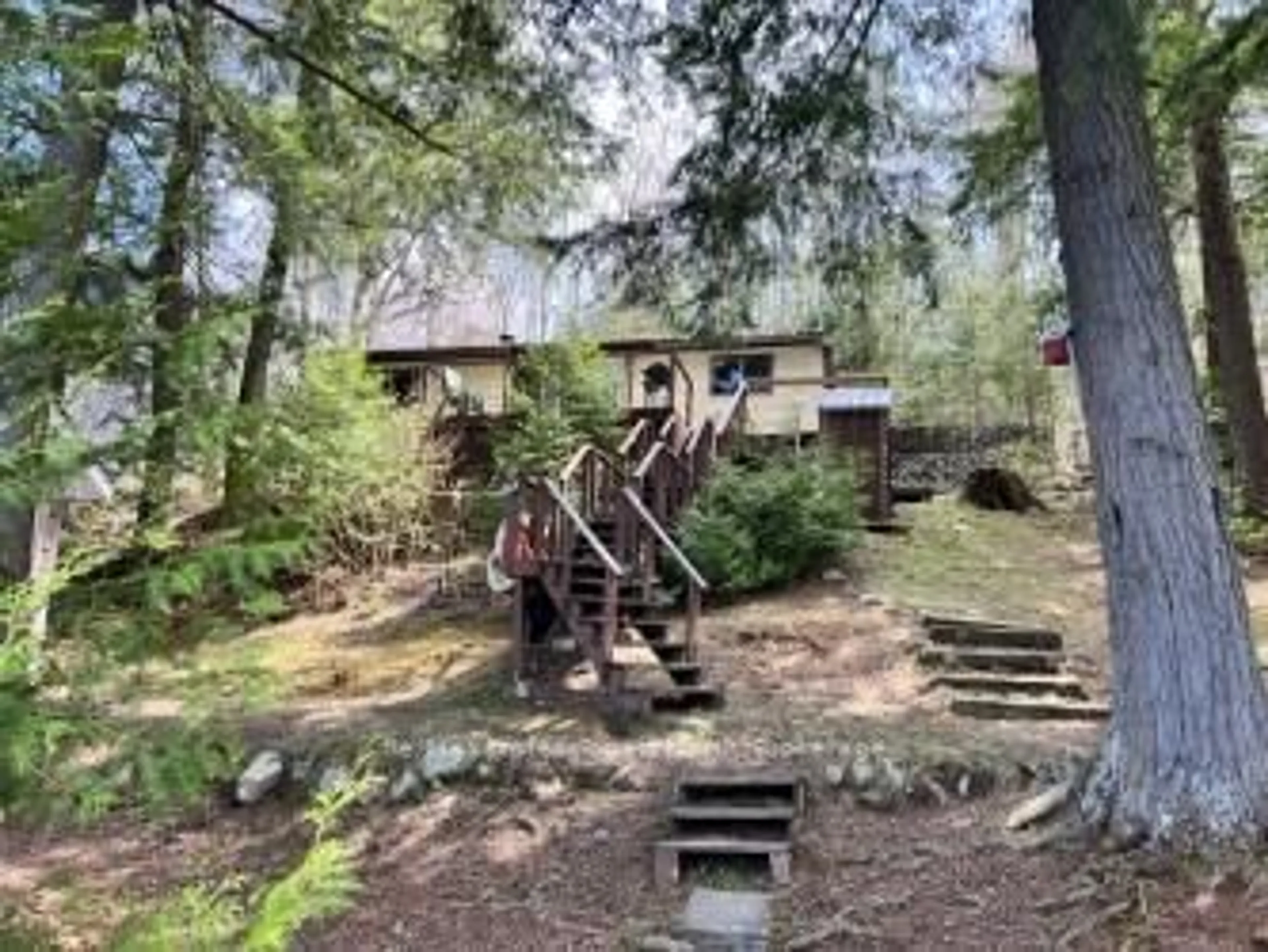 A pic from outside/outdoor area/front of a property/back of a property/a pic from drone, forest/trees view for 1097 Corylus Lane, Dysart et al Ontario K0L 1X0