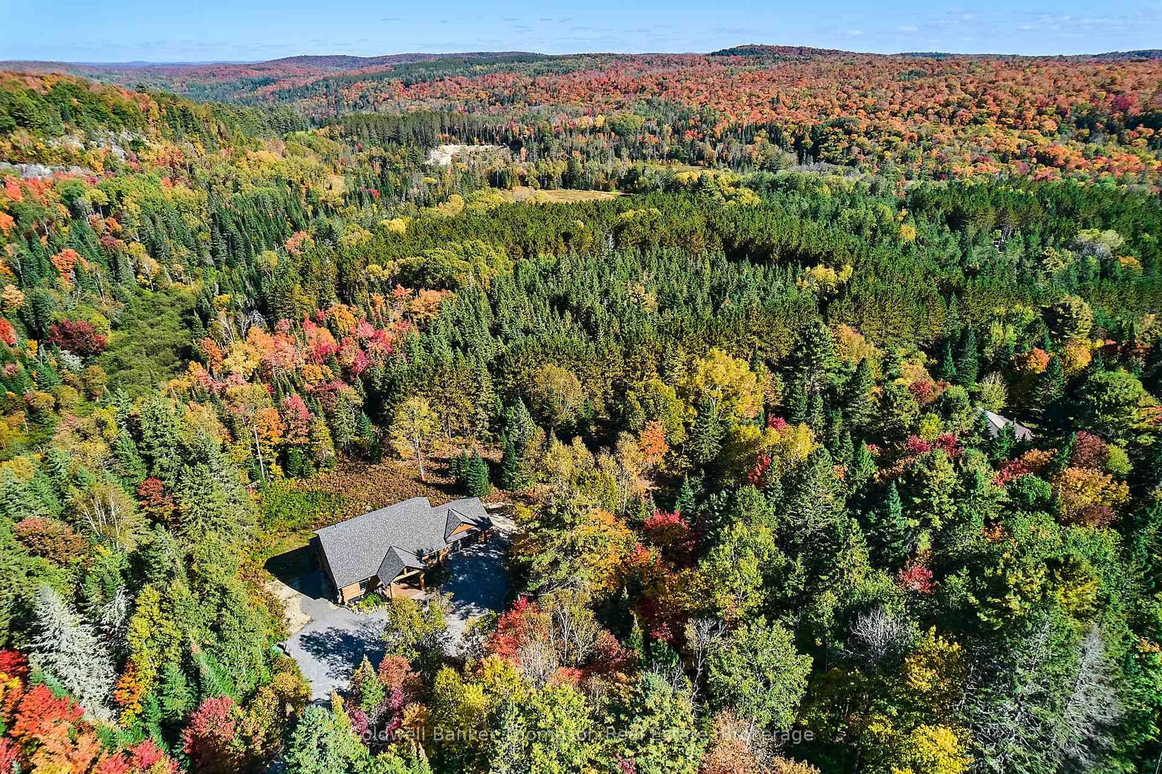 A pic from outside/outdoor area/front of a property/back of a property/a pic from drone, forest/trees view for 1363 Williamsport Rd, Huntsville Ontario P1H 2J4