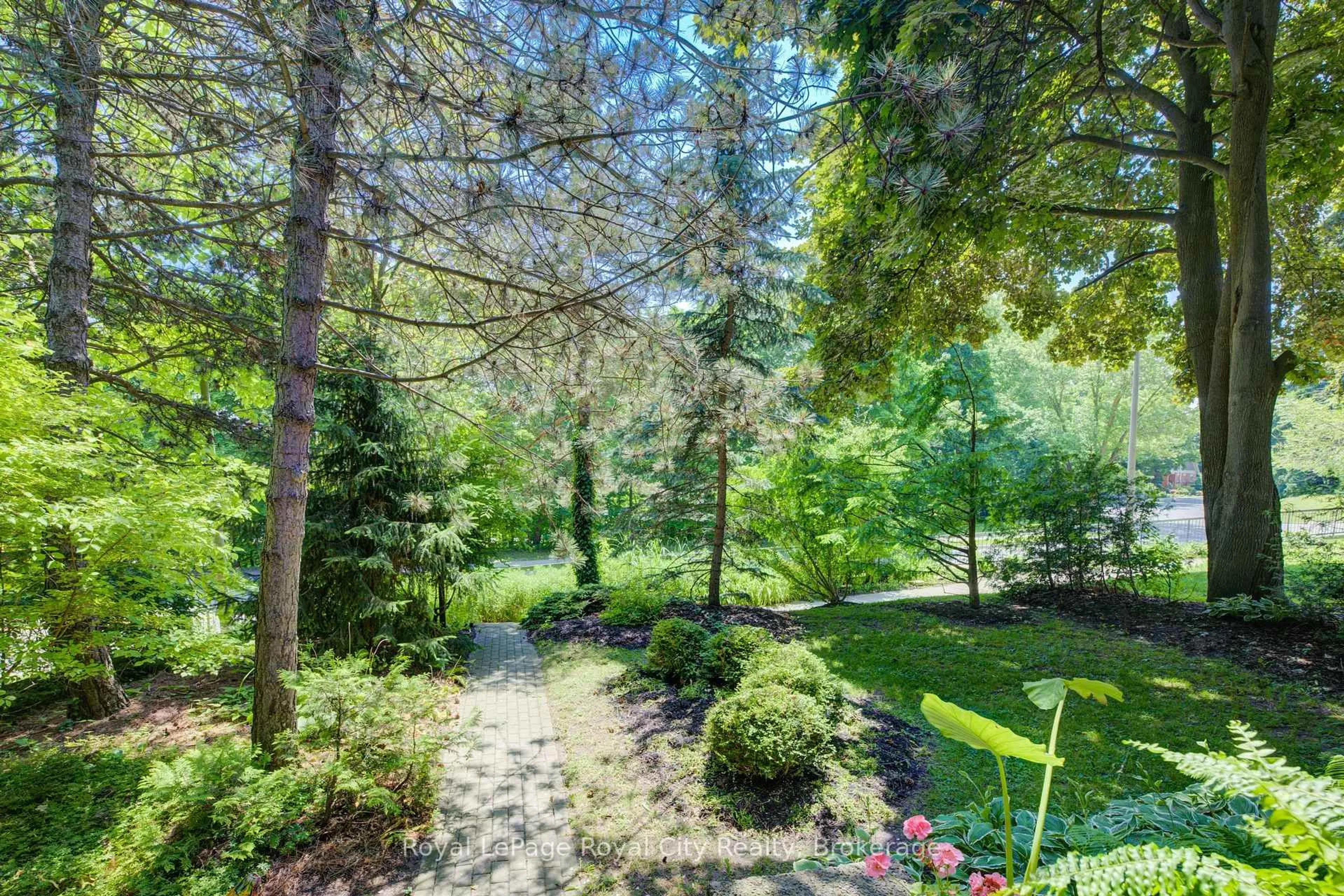 Patio, forest/trees view for 513 ST ANDREW St, Centre Wellington Ontario N1M 1P4