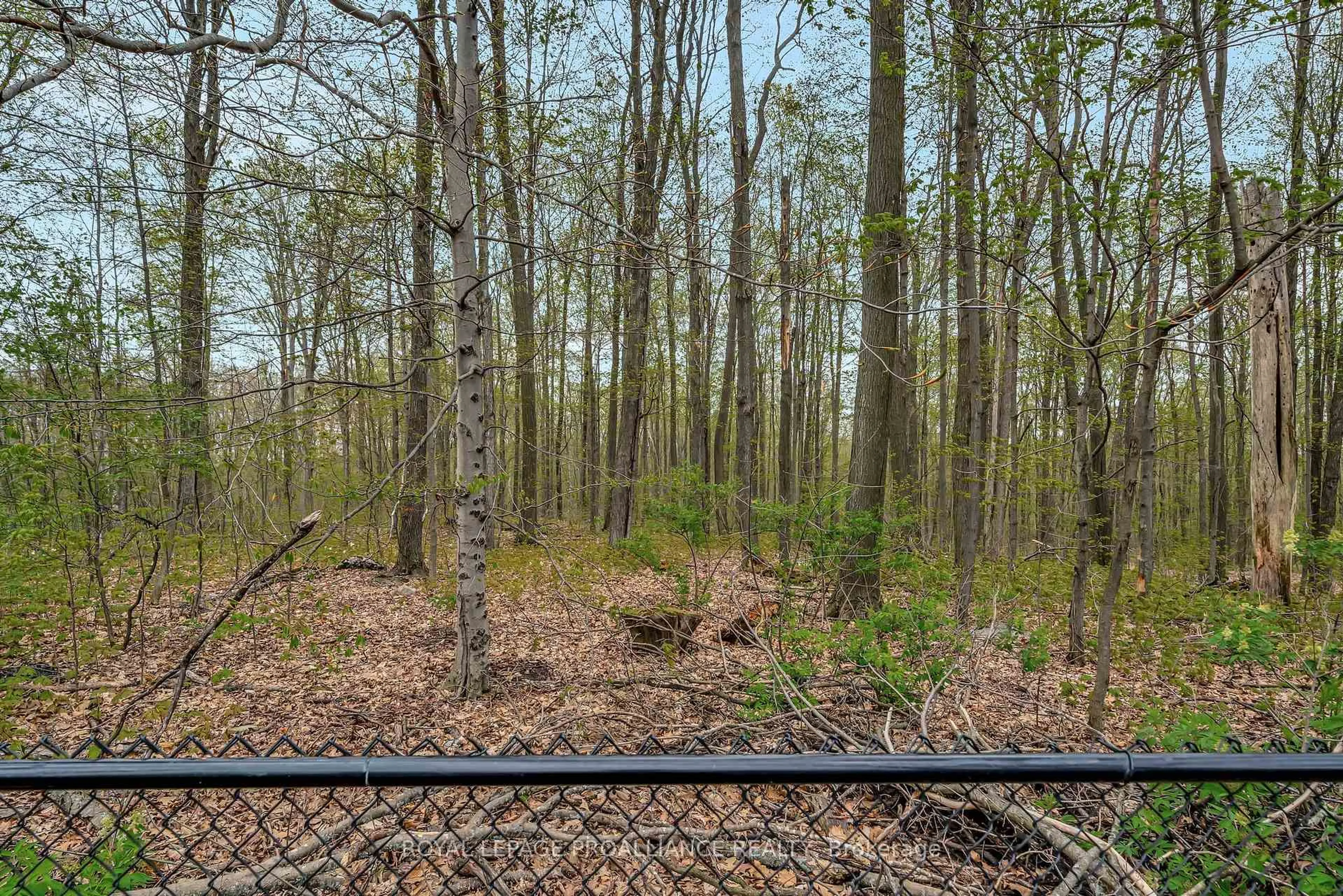A pic from outside/outdoor area/front of a property/back of a property/a pic from drone, forest/trees view for 158 PINE HILL Cres, Stirling Ontario K0K 3E0