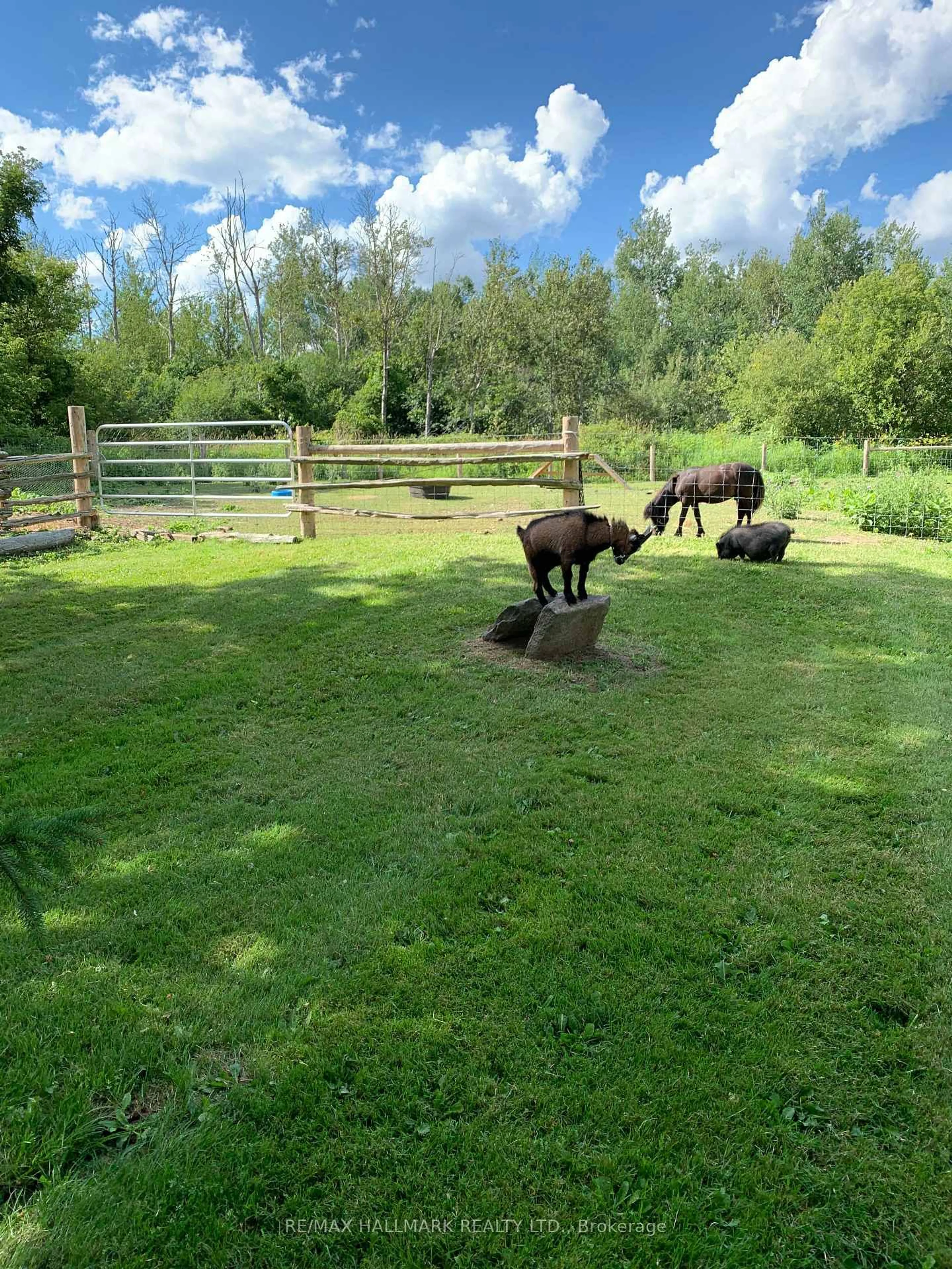 A pic from outside/outdoor area/front of a property/back of a property/a pic from drone, unknown for 473395 Dufferin County Road N/A, Amaranth Ontario L9W 0R3