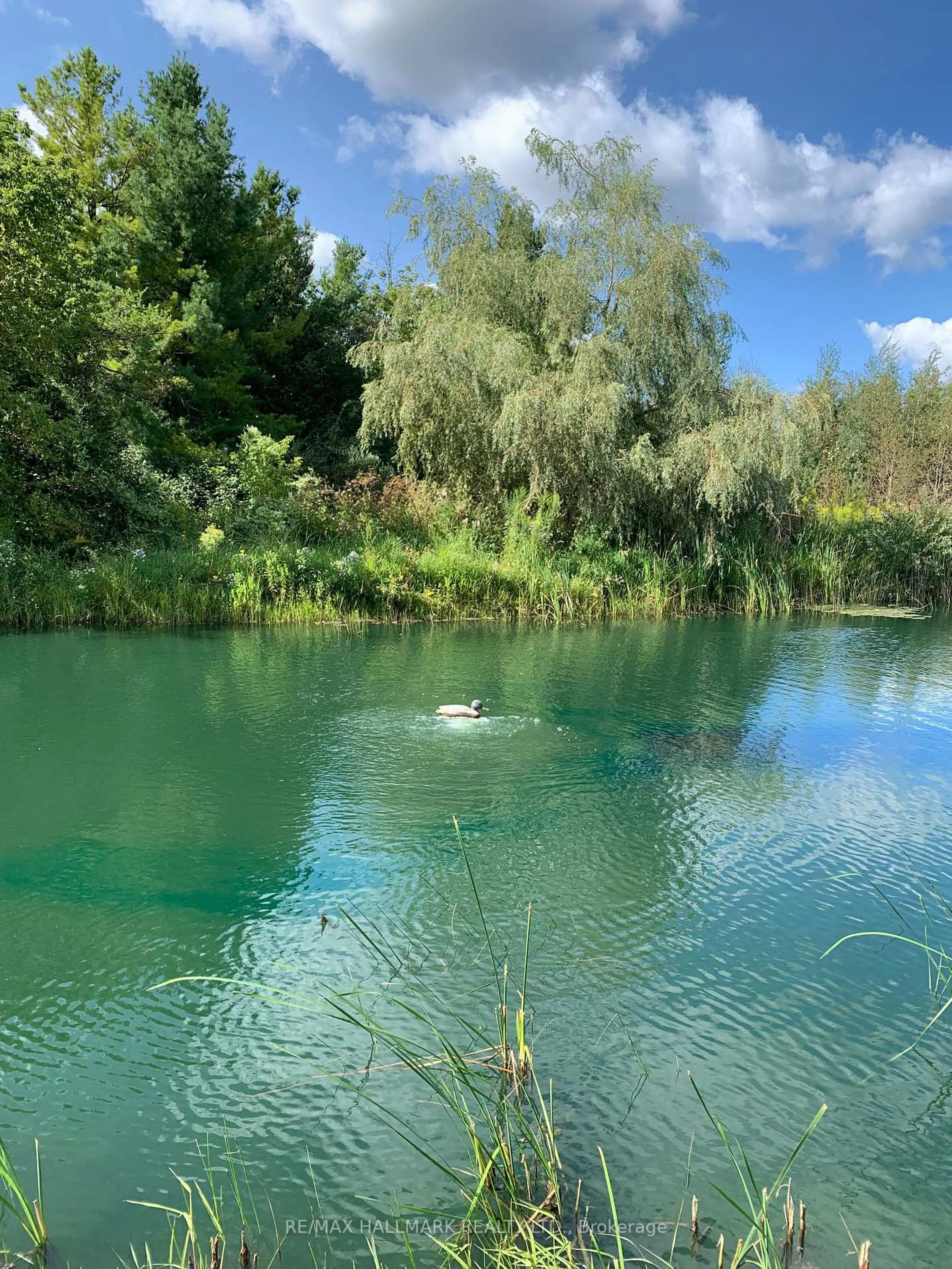 Pool for 473395 Dufferin County Road N/A, Amaranth Ontario L9W 0R3