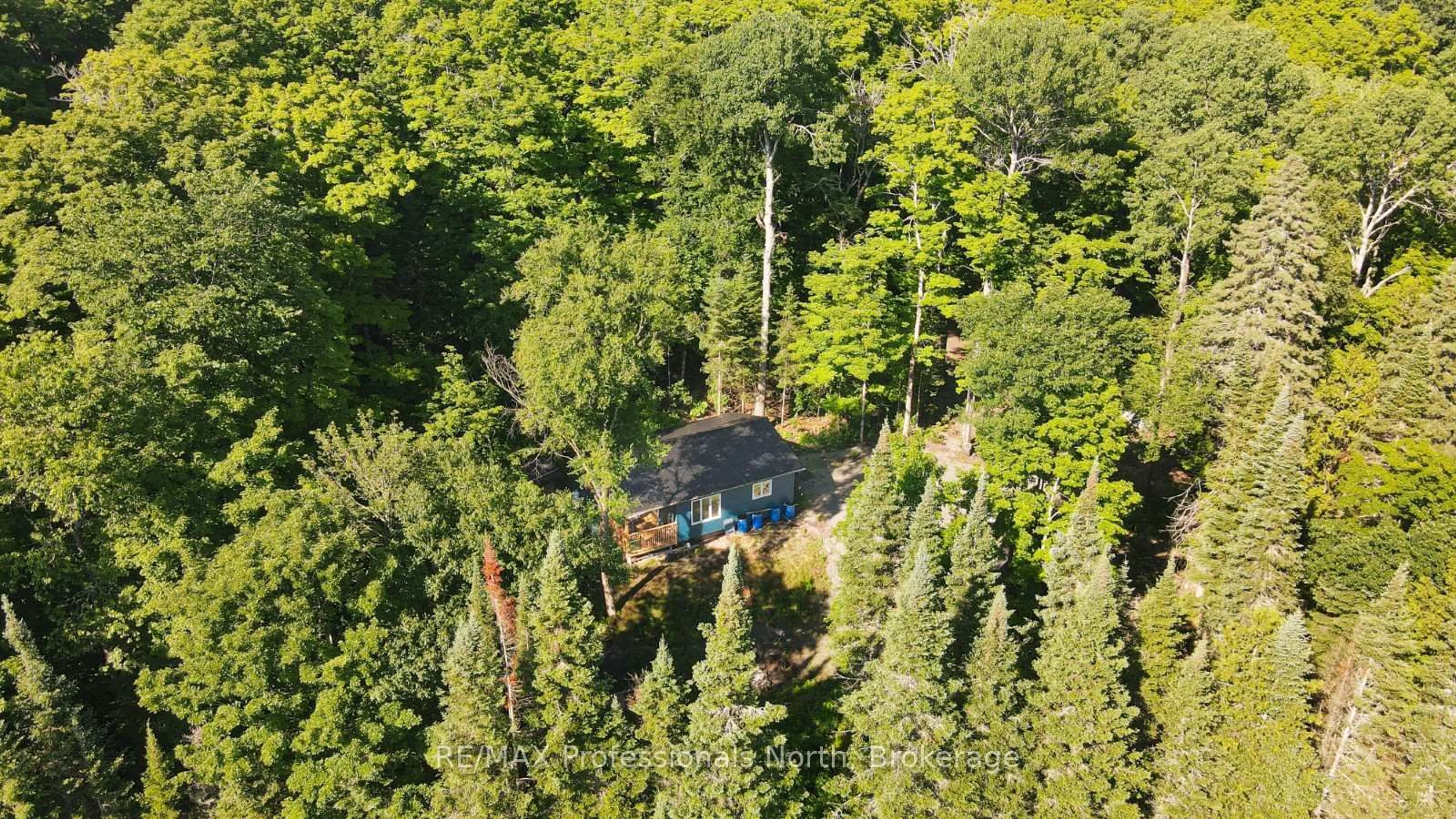 A pic from outside/outdoor area/front of a property/back of a property/a pic from drone, forest/trees view for 1596 Paynes Rd, Highlands East Ontario K0L 2Y0