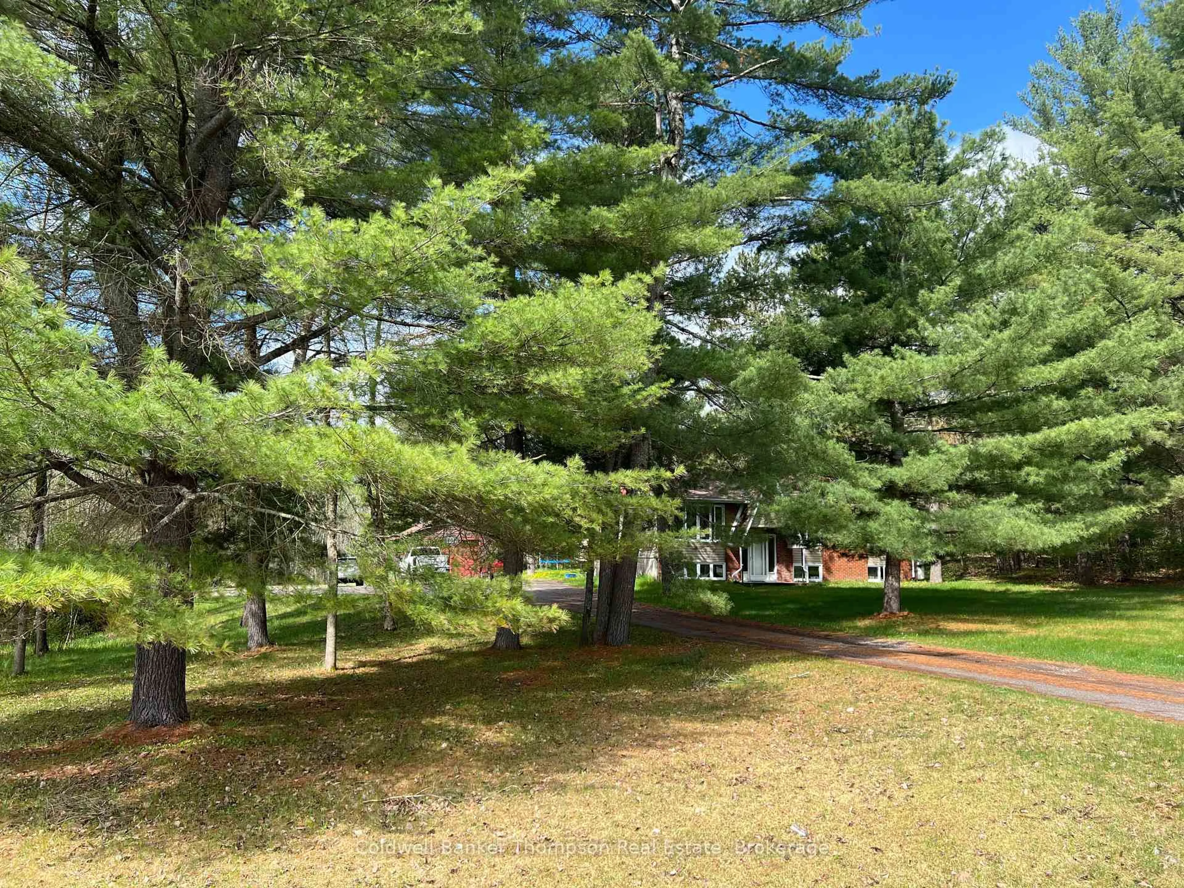 A pic from outside/outdoor area/front of a property/back of a property/a pic from drone, forest/trees view for 3106 Hwy 654 Highway, Nipissing Ontario P0H 1H0