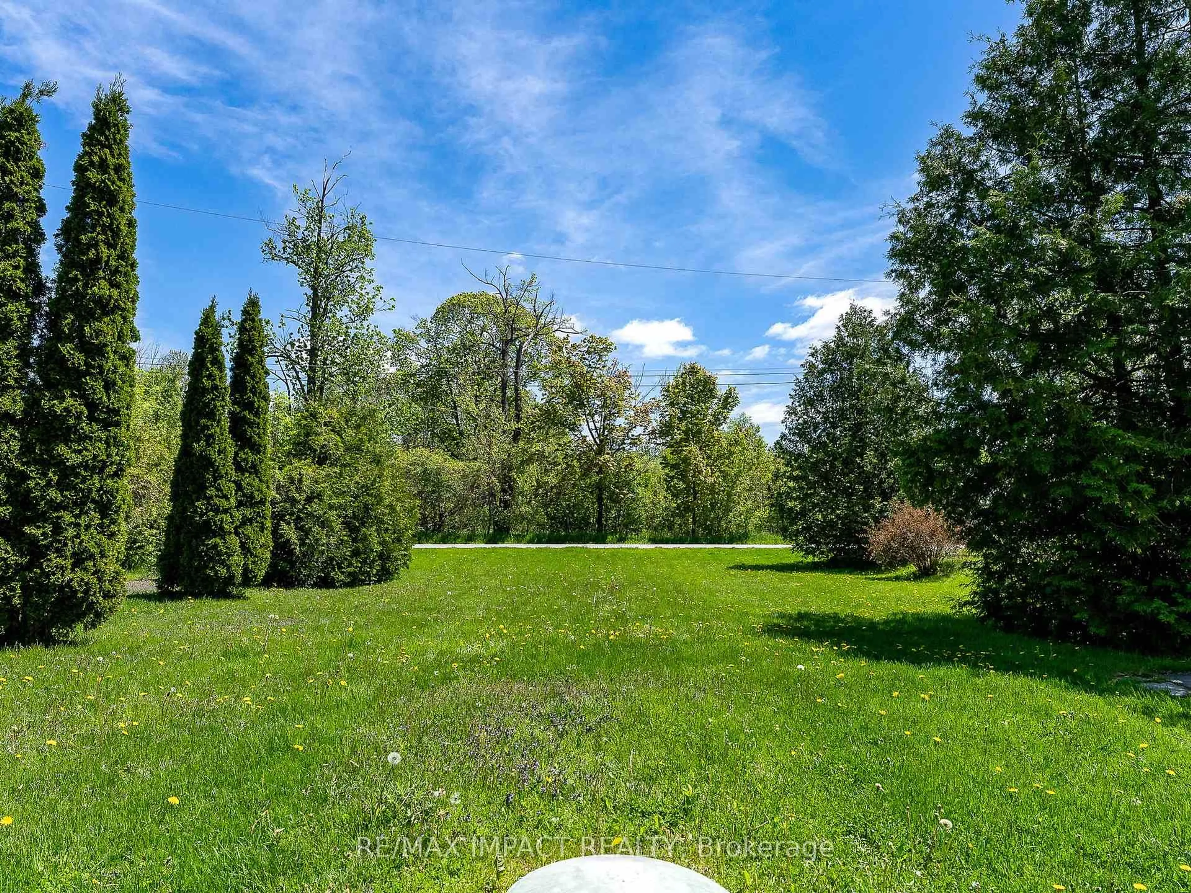 A pic from outside/outdoor area/front of a property/back of a property/a pic from drone, forest/trees view for 5372 Young St, Hamilton Township Ontario K0K 2H0